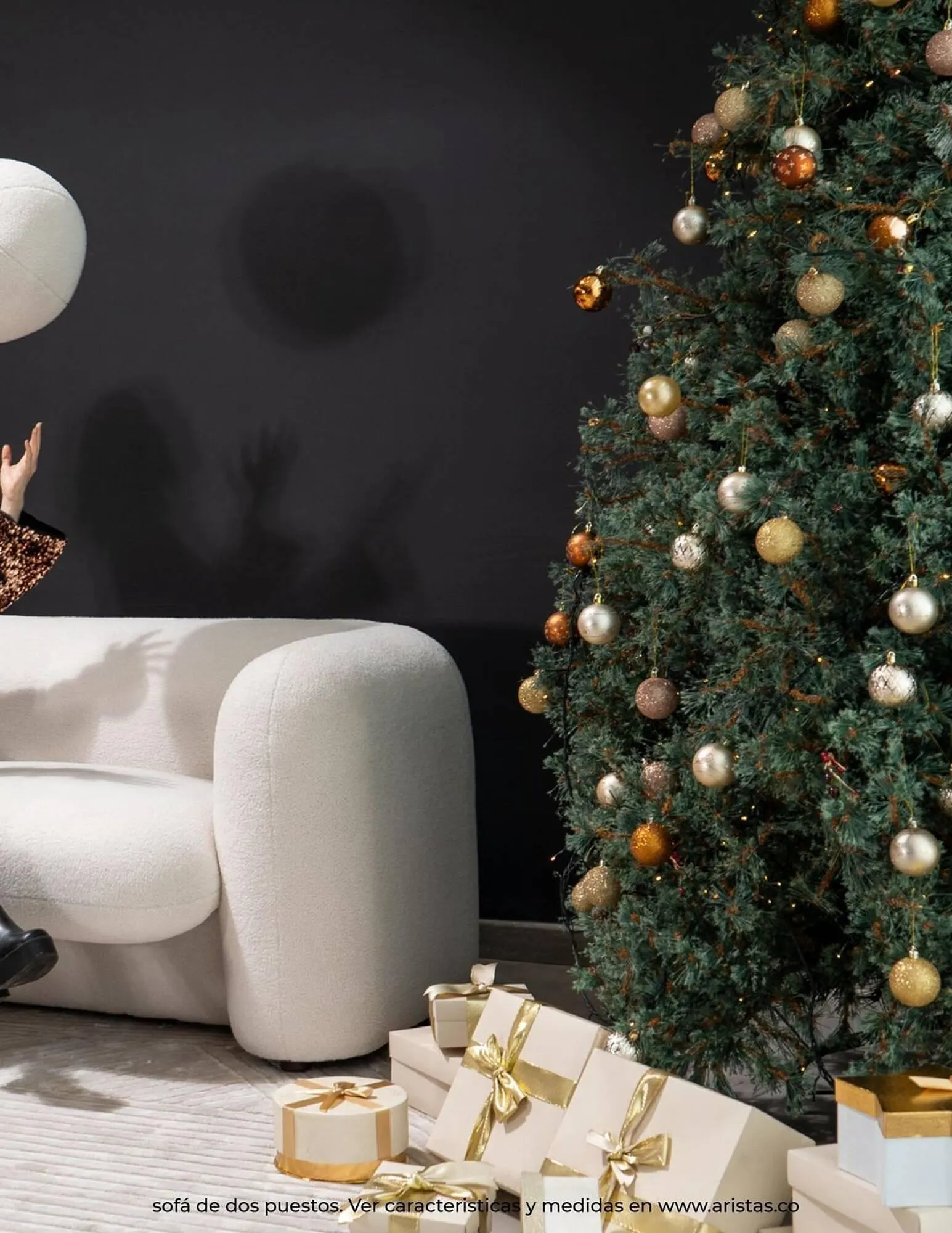 Catalogo de Catálogo Aristas 19 de septiembre al 31 de diciembre 2025 - Pag 31