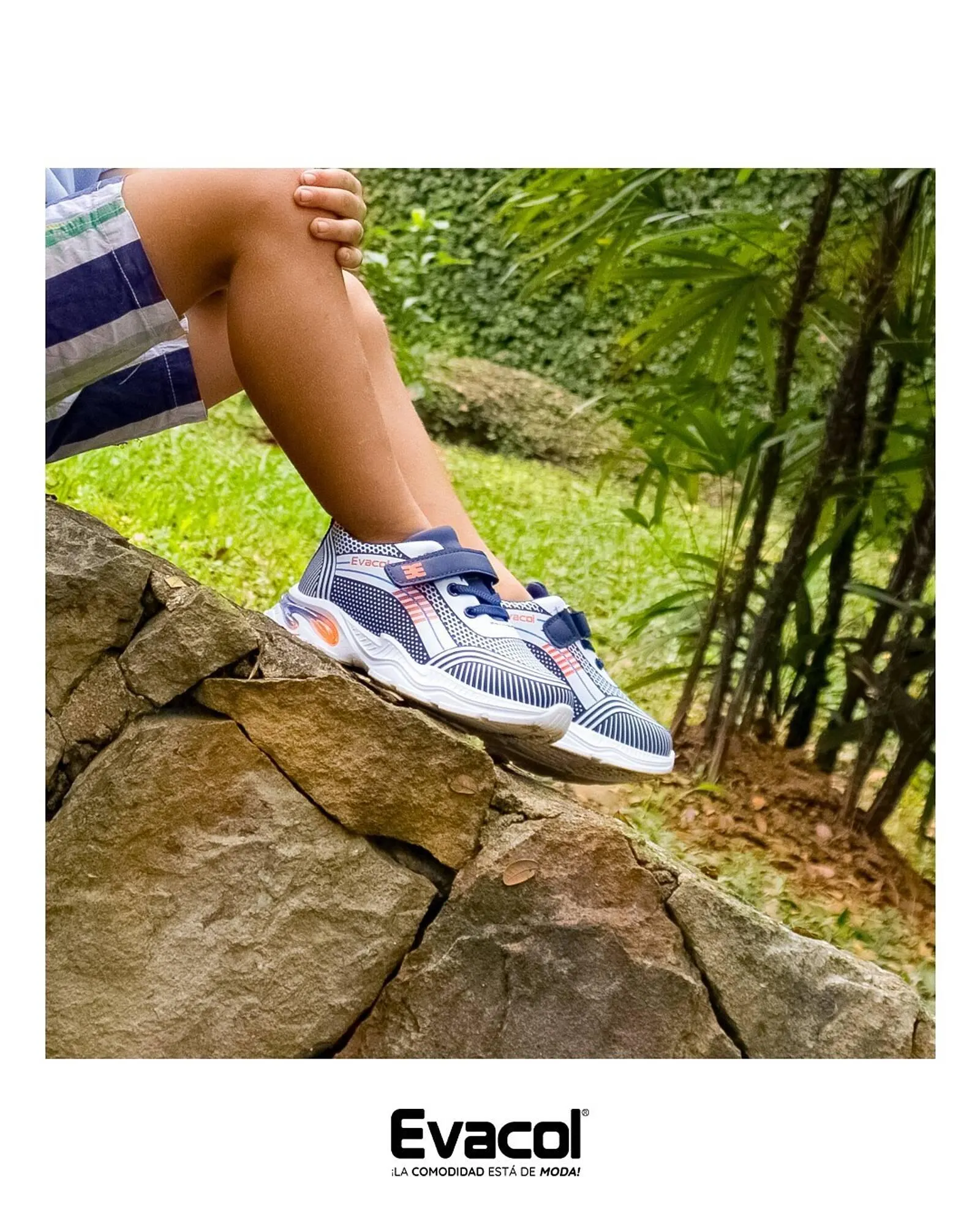 Catalogo de Catálogo Evacol 29 de noviembre al 31 de diciembre 2024 - Pag 1