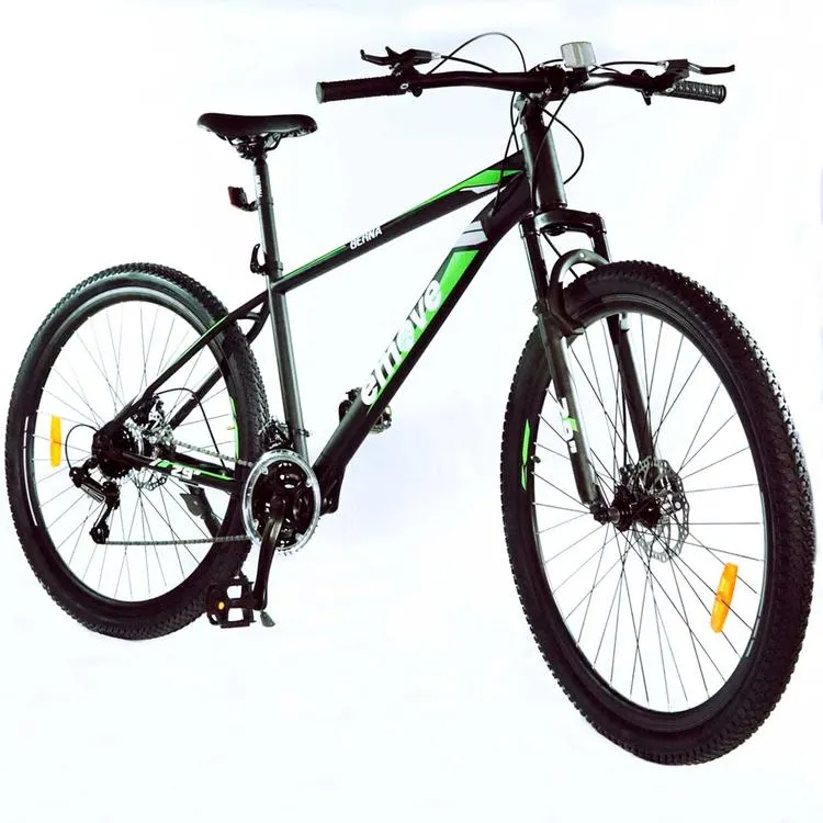 Bicicleta EMOVE BERNA Verde/Gris 29"