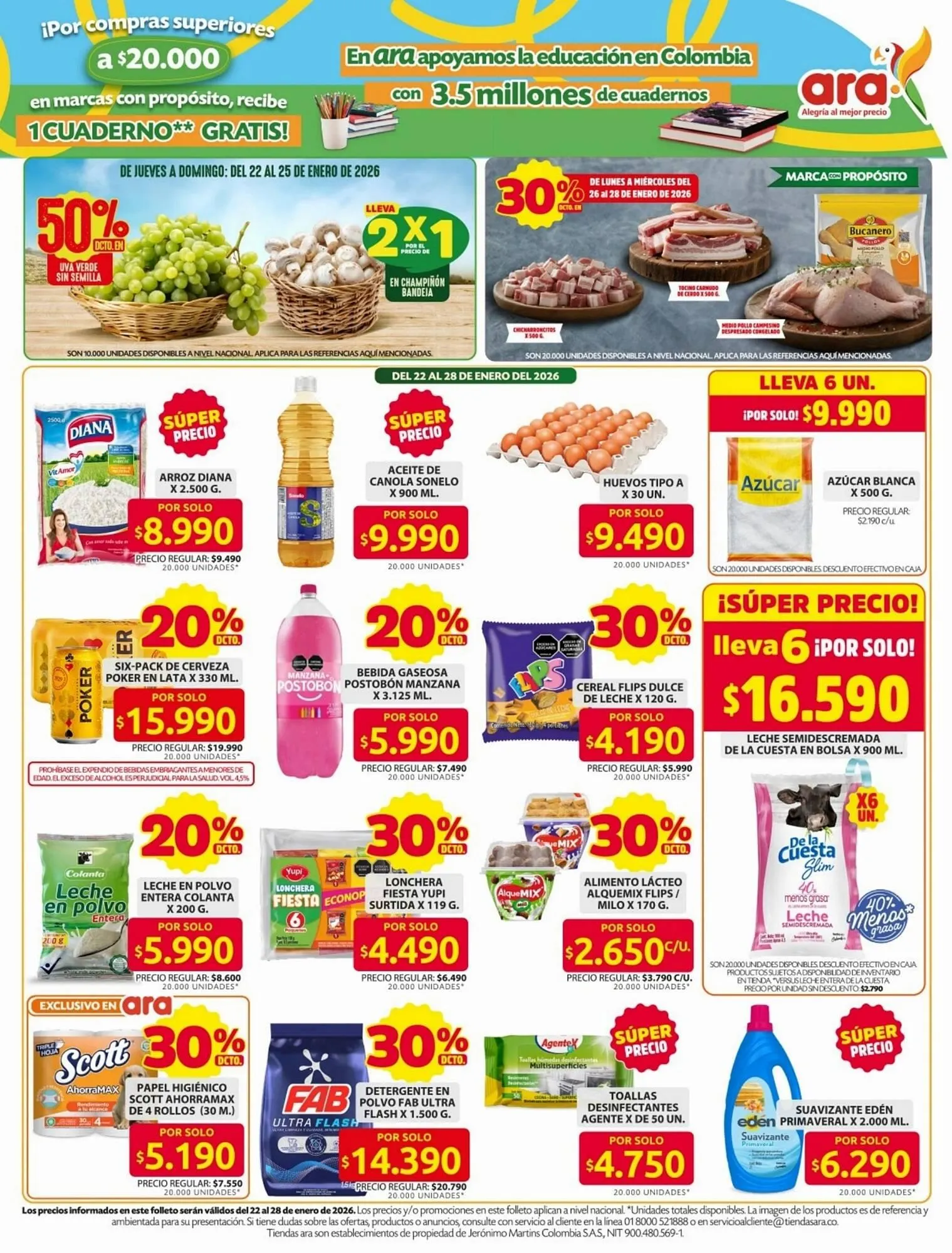 Catalogo de Catálogo Ara 22 de enero al 31 de enero 2026 - Pag 3