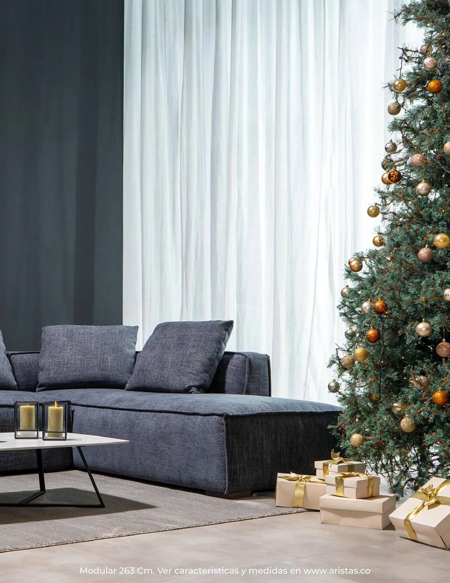 Catalogo de Catálogo Aristas 19 de septiembre al 31 de diciembre 2025 - Pag 39