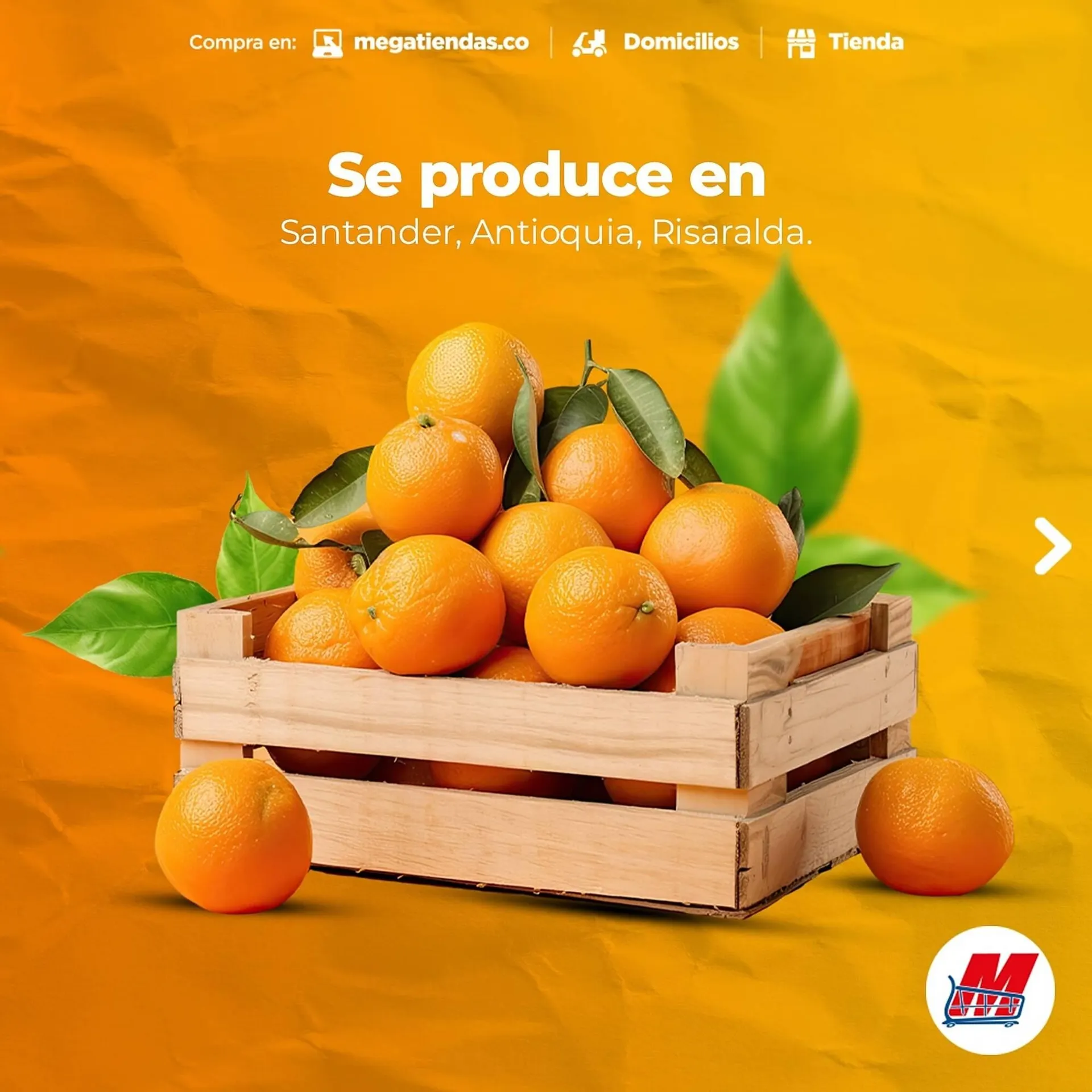 Catalogo de Catálogo MegaTiendas 5 de agosto al 9 de agosto 2024 - Pag 3