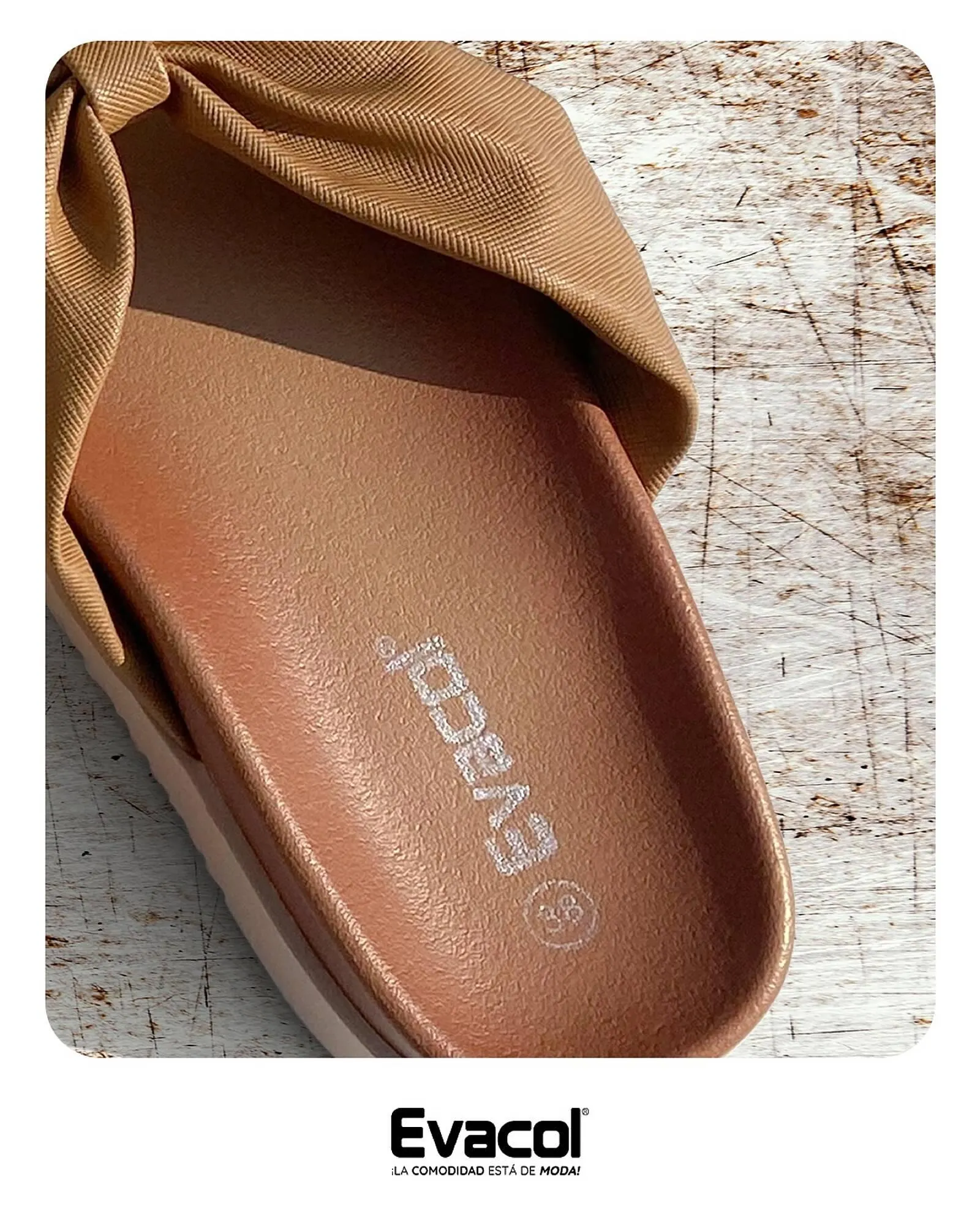 Catalogo de Catálogo Evacol 23 de enero al 28 de febrero 2025 - Pag 1