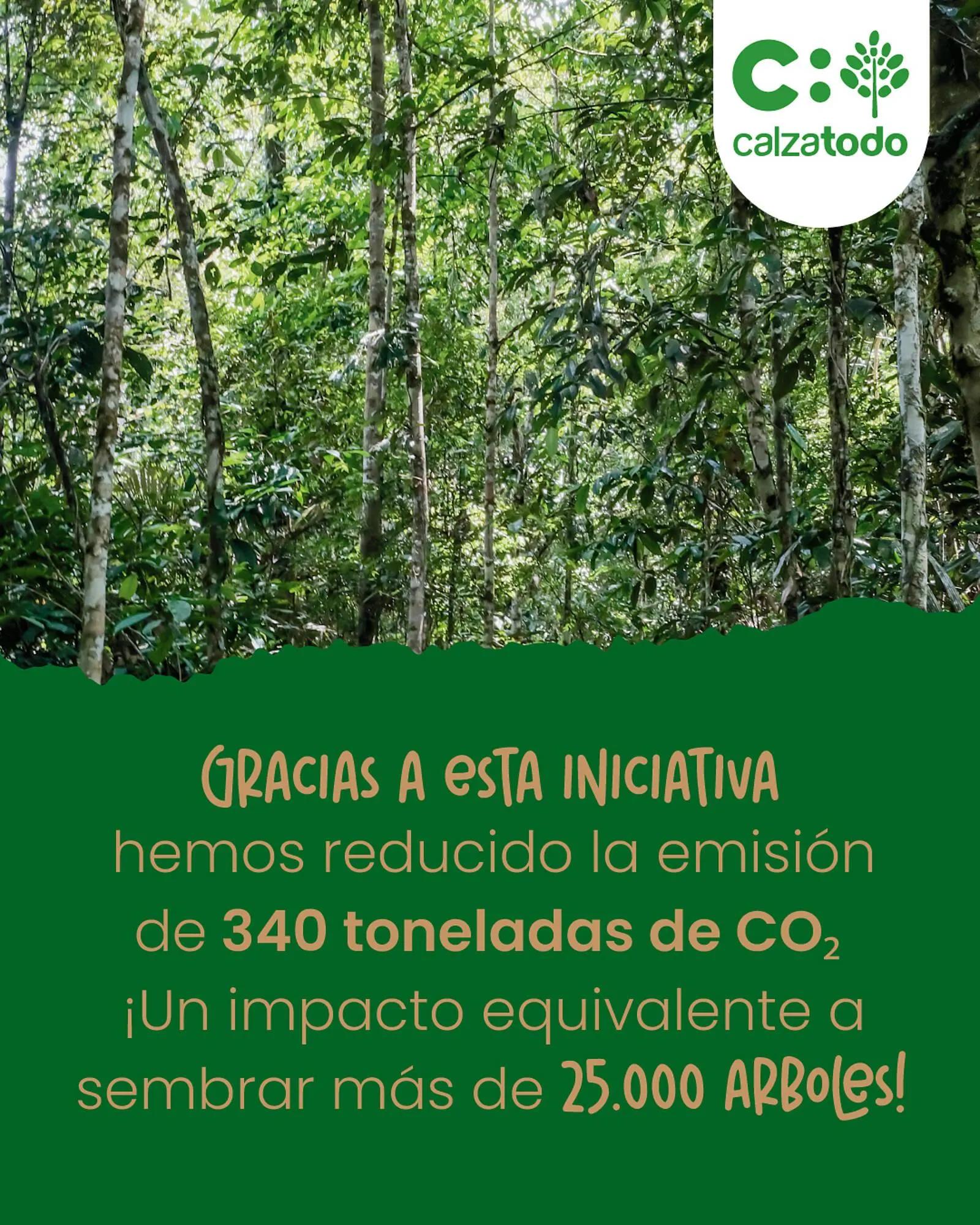 Catalogo de Catálogo calzatodo 23 de abril al 29 de abril 2025 - Pag 2