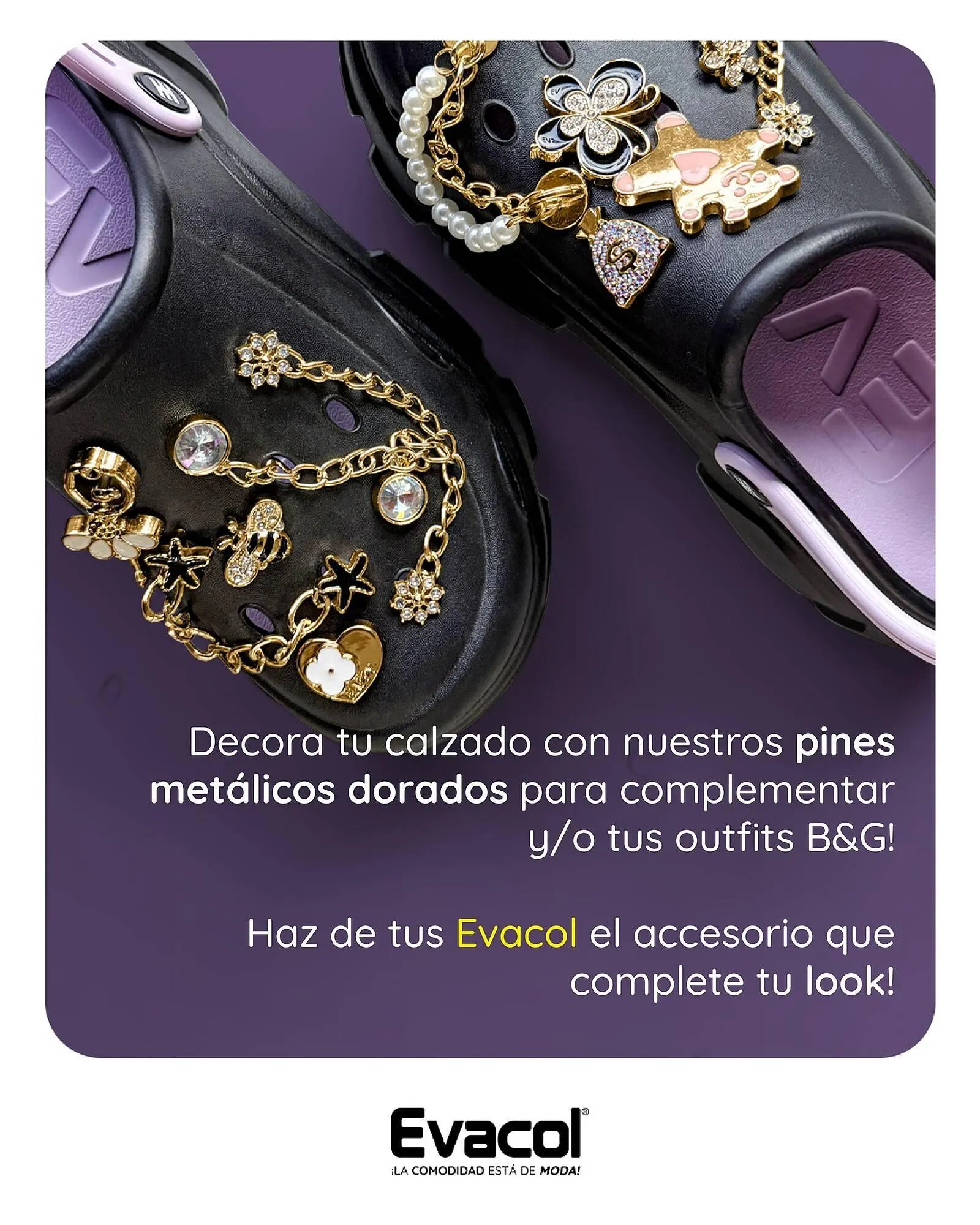 Catalogo de Catálogo Evacol 4 de marzo al 17 de marzo 2025 - Pag 4