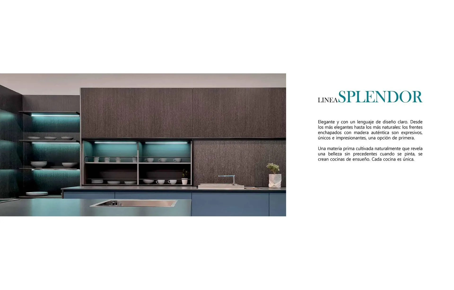 Catalogo de Catálogo Sanicoc 14 de mayo al 31 de agosto 2024 - Pag 17