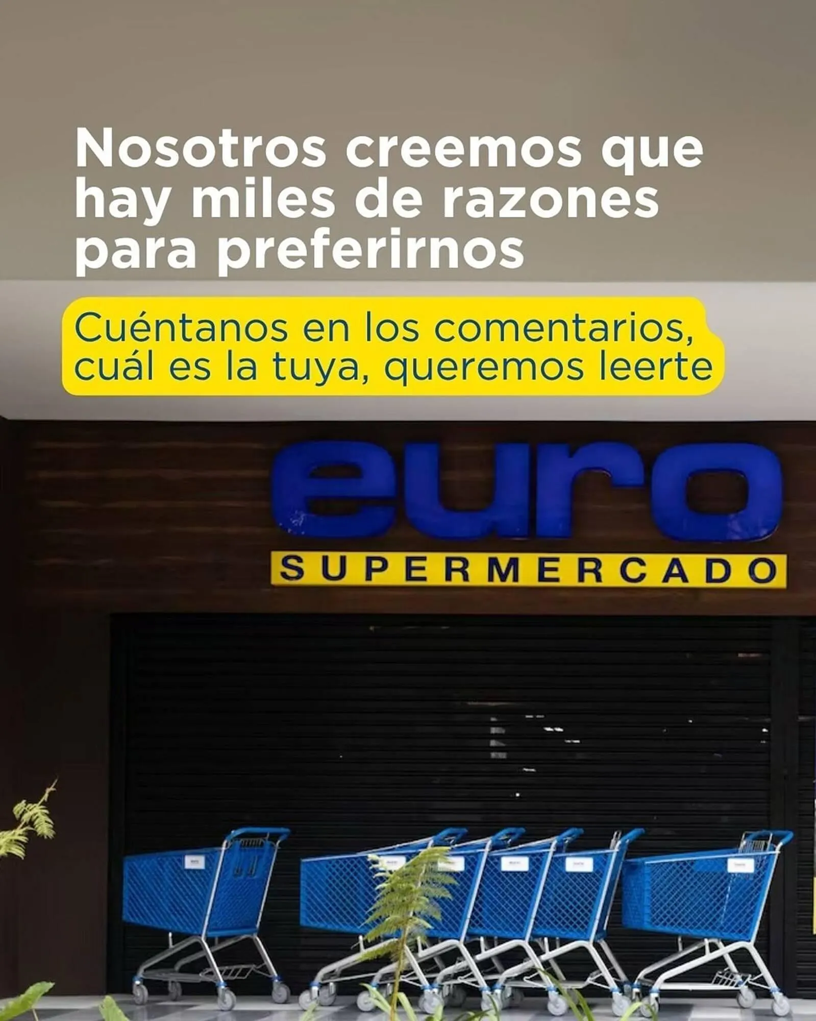 Catalogo de Catálogo Euro Supermercados 26 de noviembre al 31 de diciembre 2025 - Pag 2