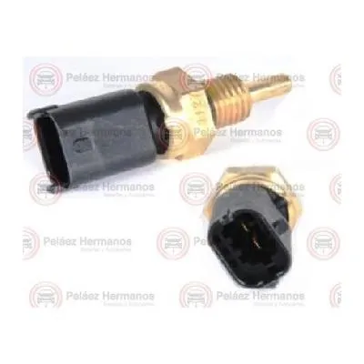 96476970 - PERA TEMPERATURA