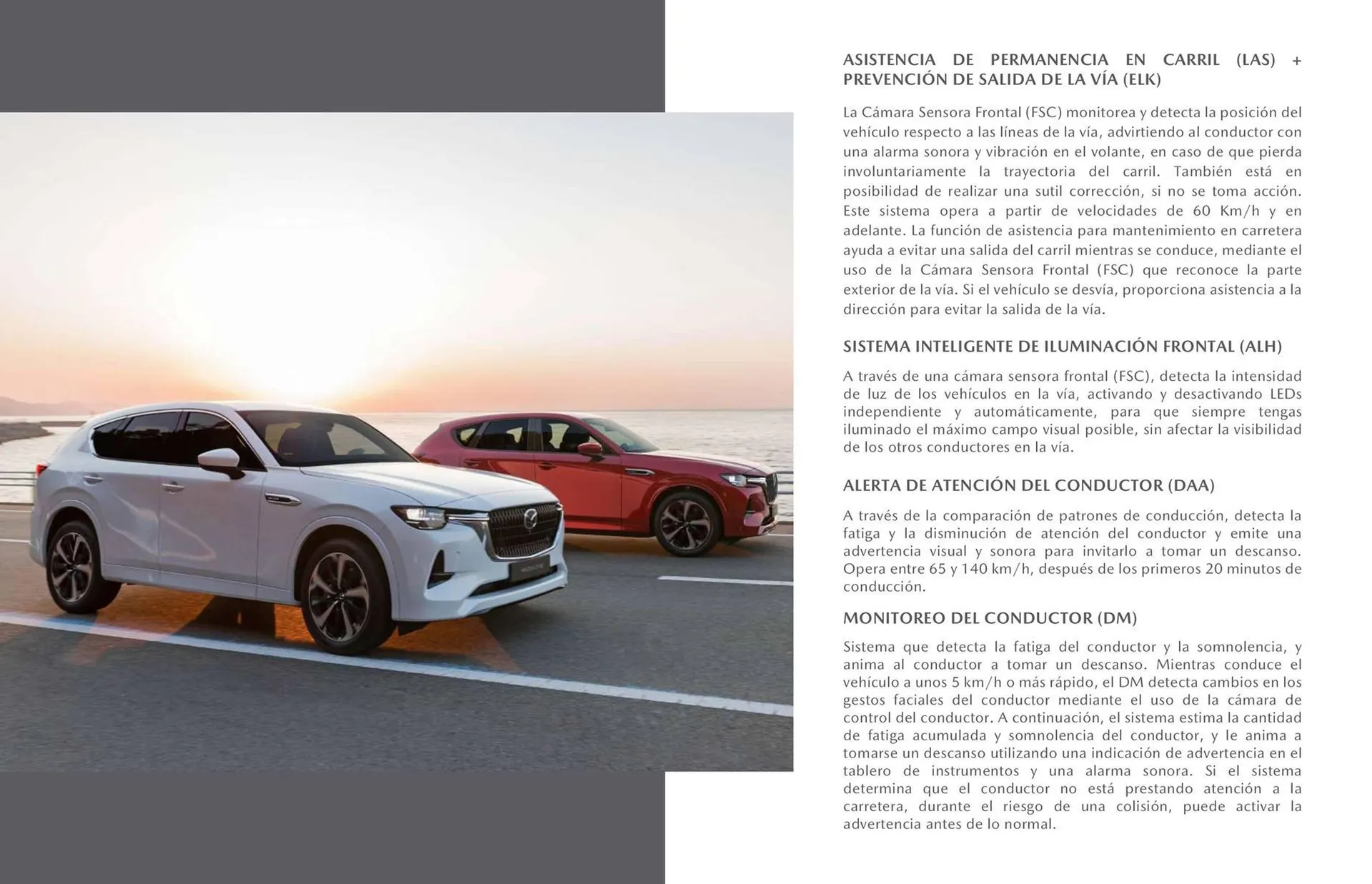 Catalogo de Catálogo Mazda 22 de enero al 22 de marzo 2027 - Pag 15