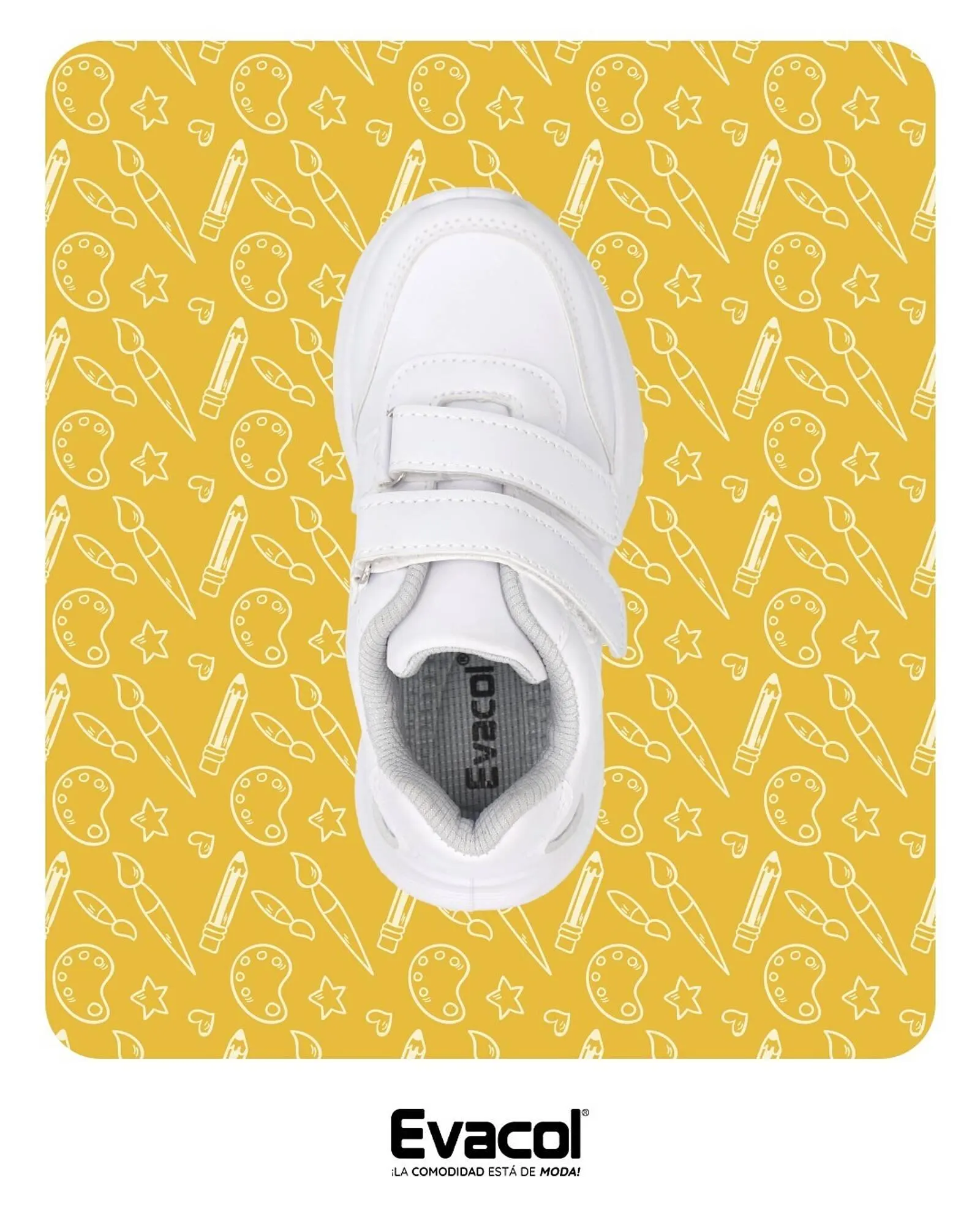 Catalogo de Catálogo Evacol 31 de enero al 6 de febrero 2025 - Pag 3