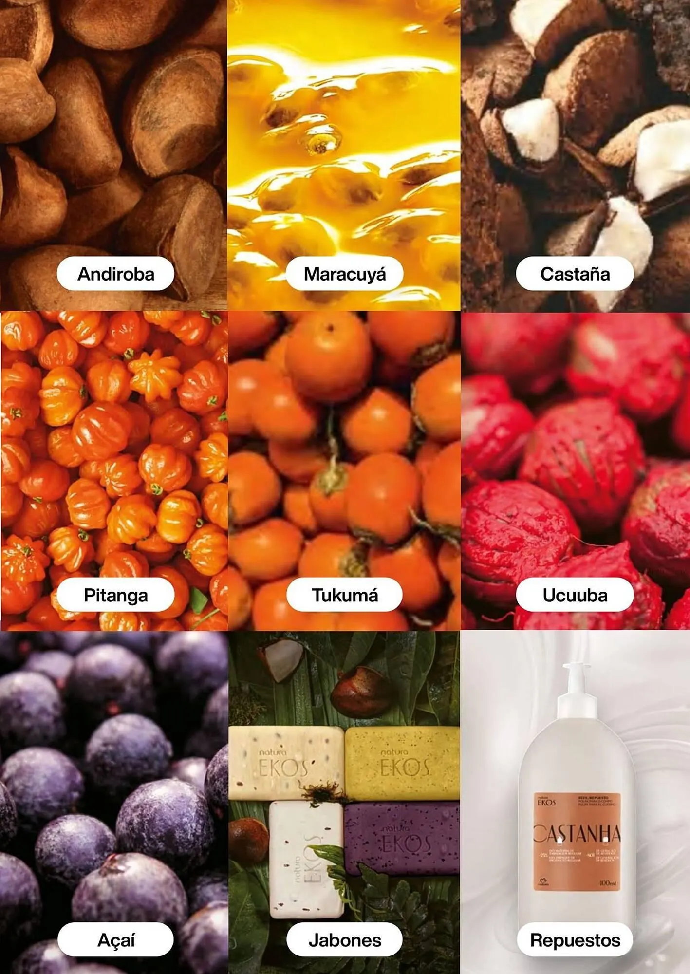 Catalogo de Catálogo Natura 11 de diciembre al 31 de diciembre 2025 - Pag 102