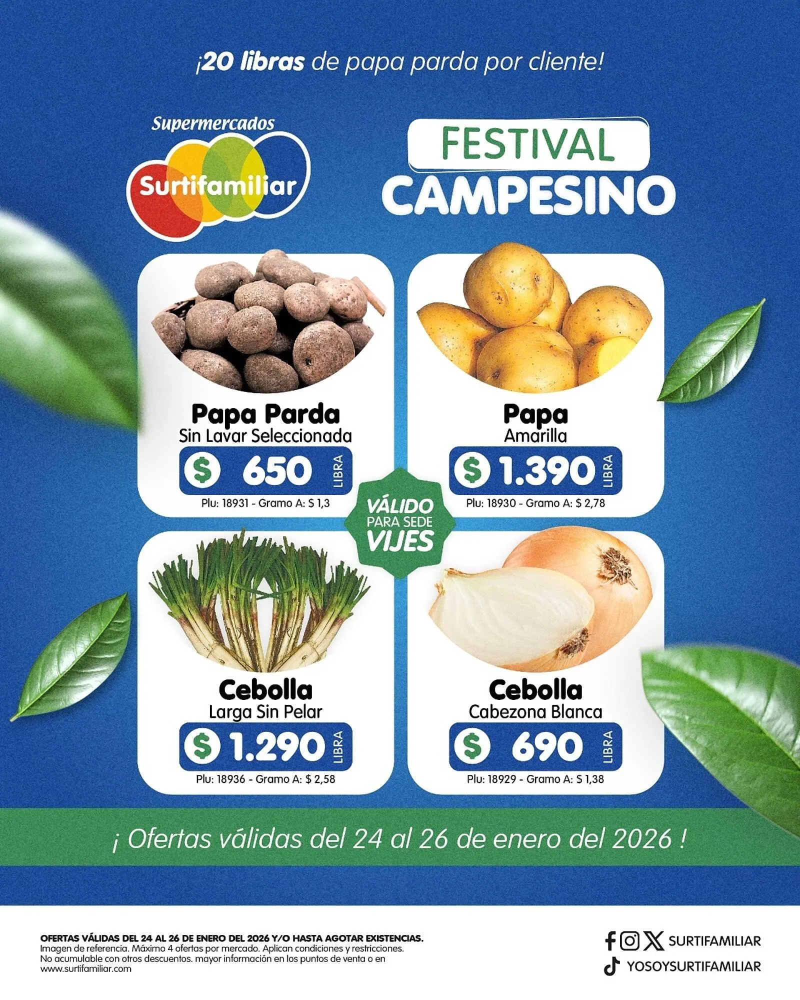 Catalogo de Catálogo Surtifamiliar 23 de enero al 26 de enero 2026 - Pag 4