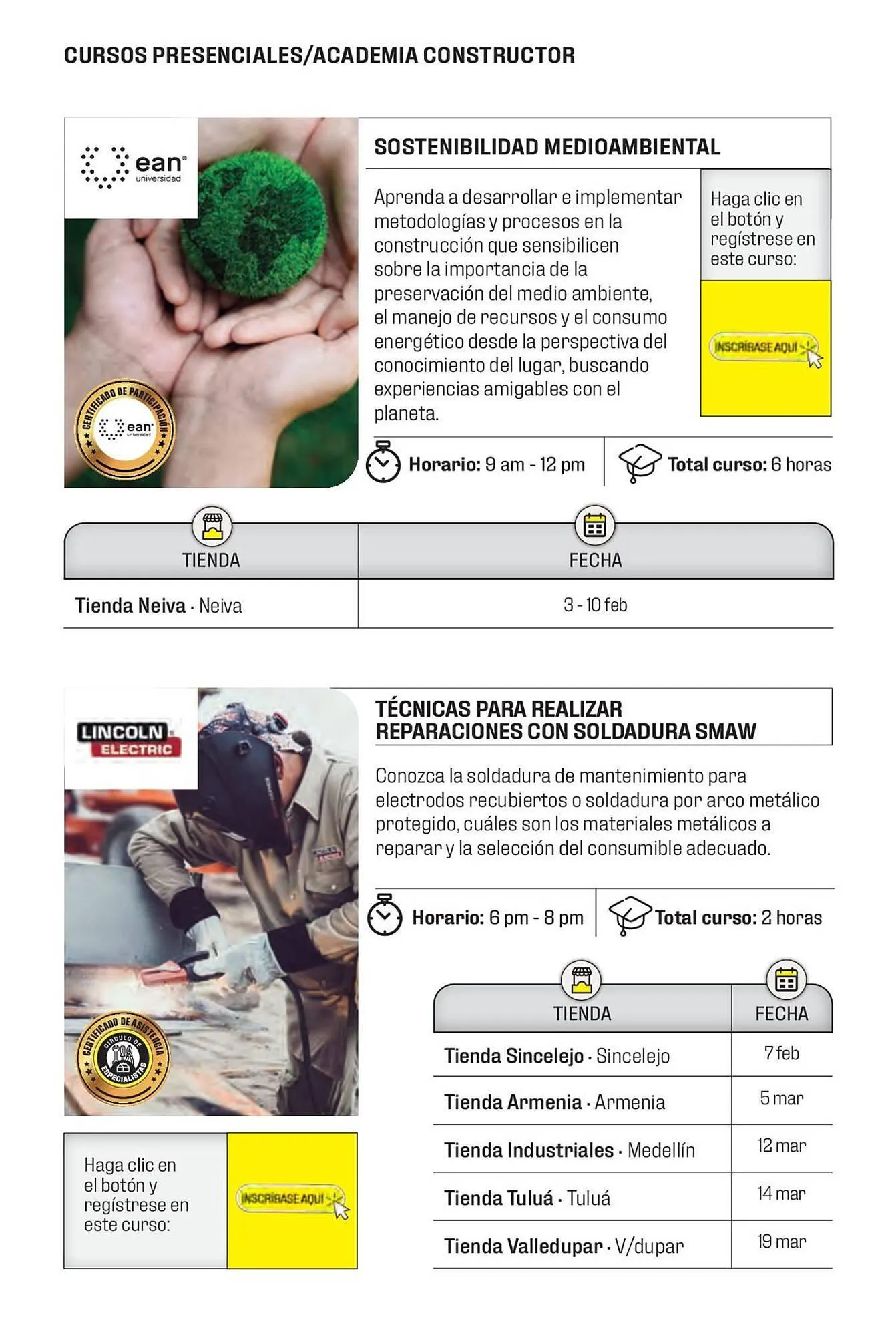 Catalogo de Catálogo Constructor 15 de enero al 31 de marzo 2024 - Pag 31