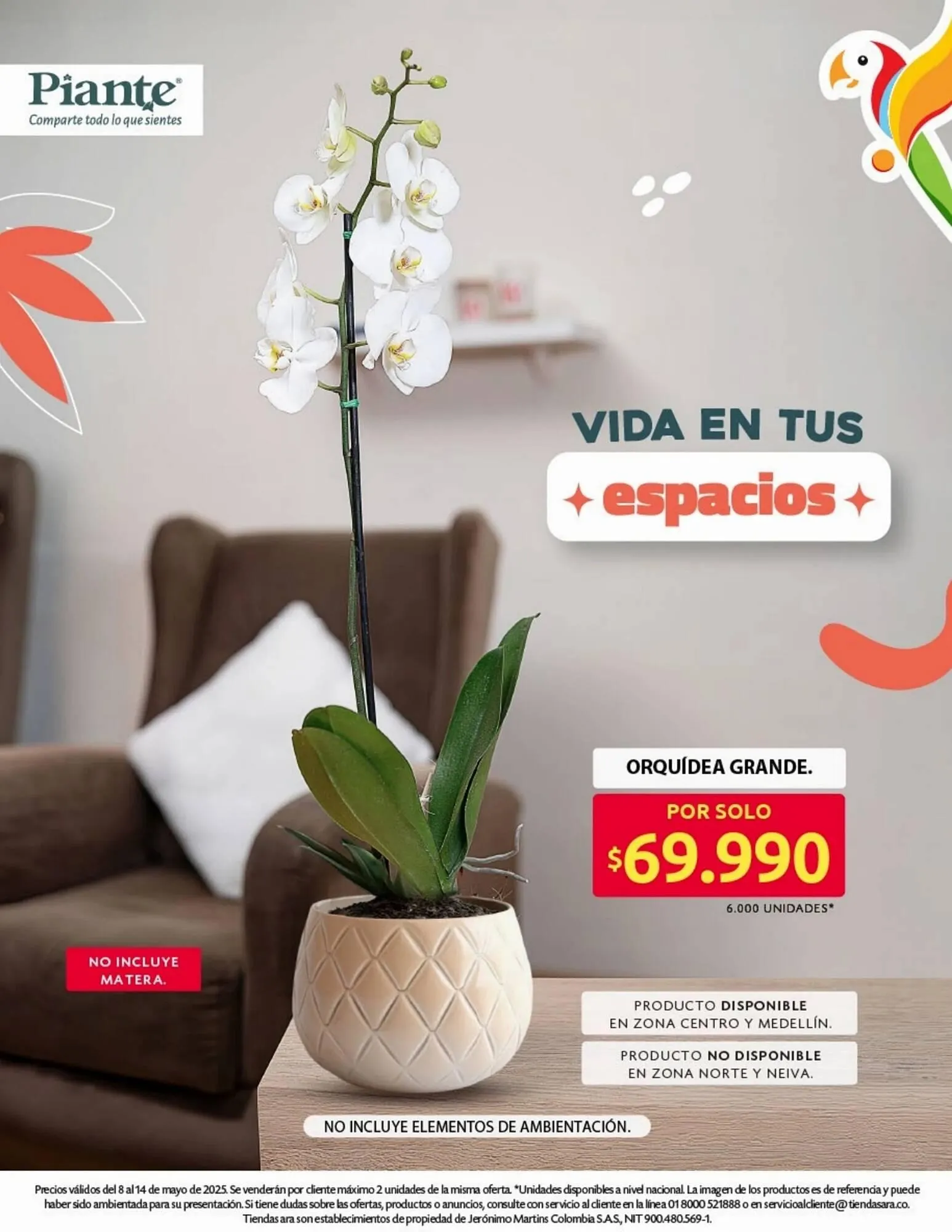 Catalogo de Catálogo Ara 8 de mayo al 15 de mayo 2025 - Pag 24