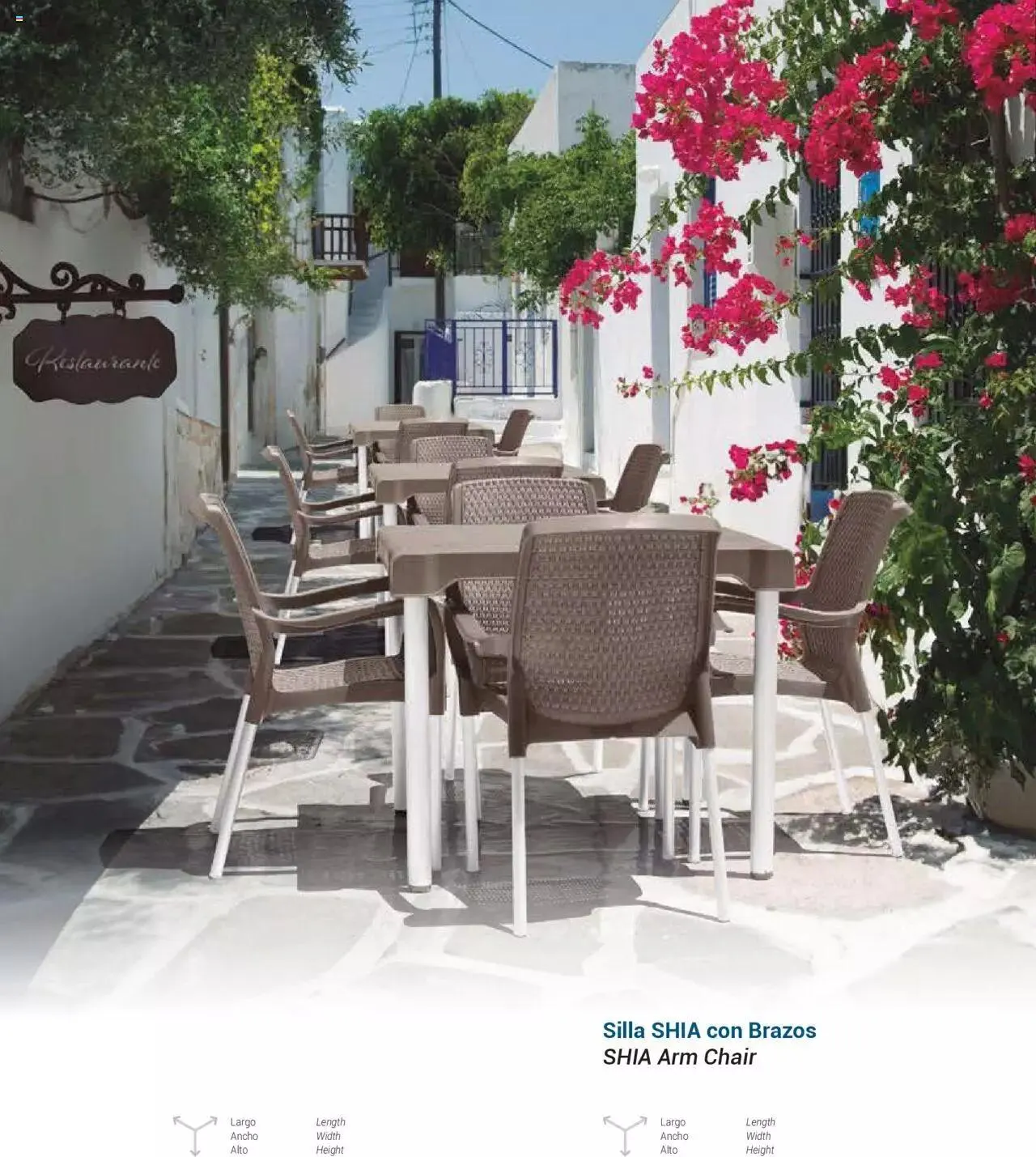 Catalogo de Rimax - Folleto 1 de marzo al 31 de diciembre 2024 - Pag 24