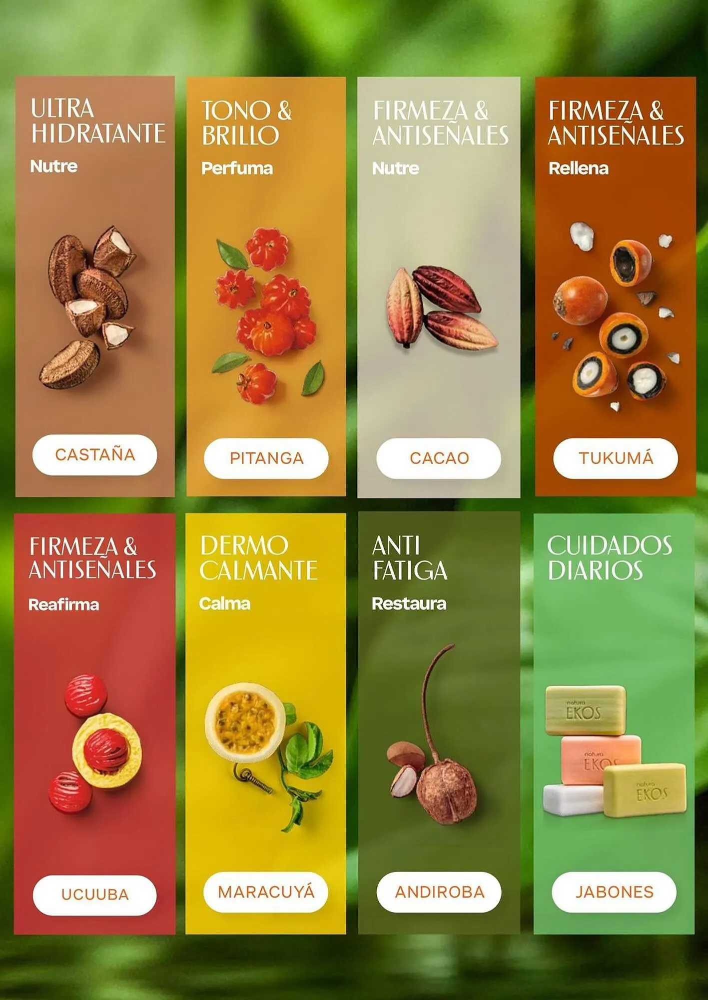 Catalogo de Catálogo Natura 1 de abril al 30 de abril 2026 - Pag 13