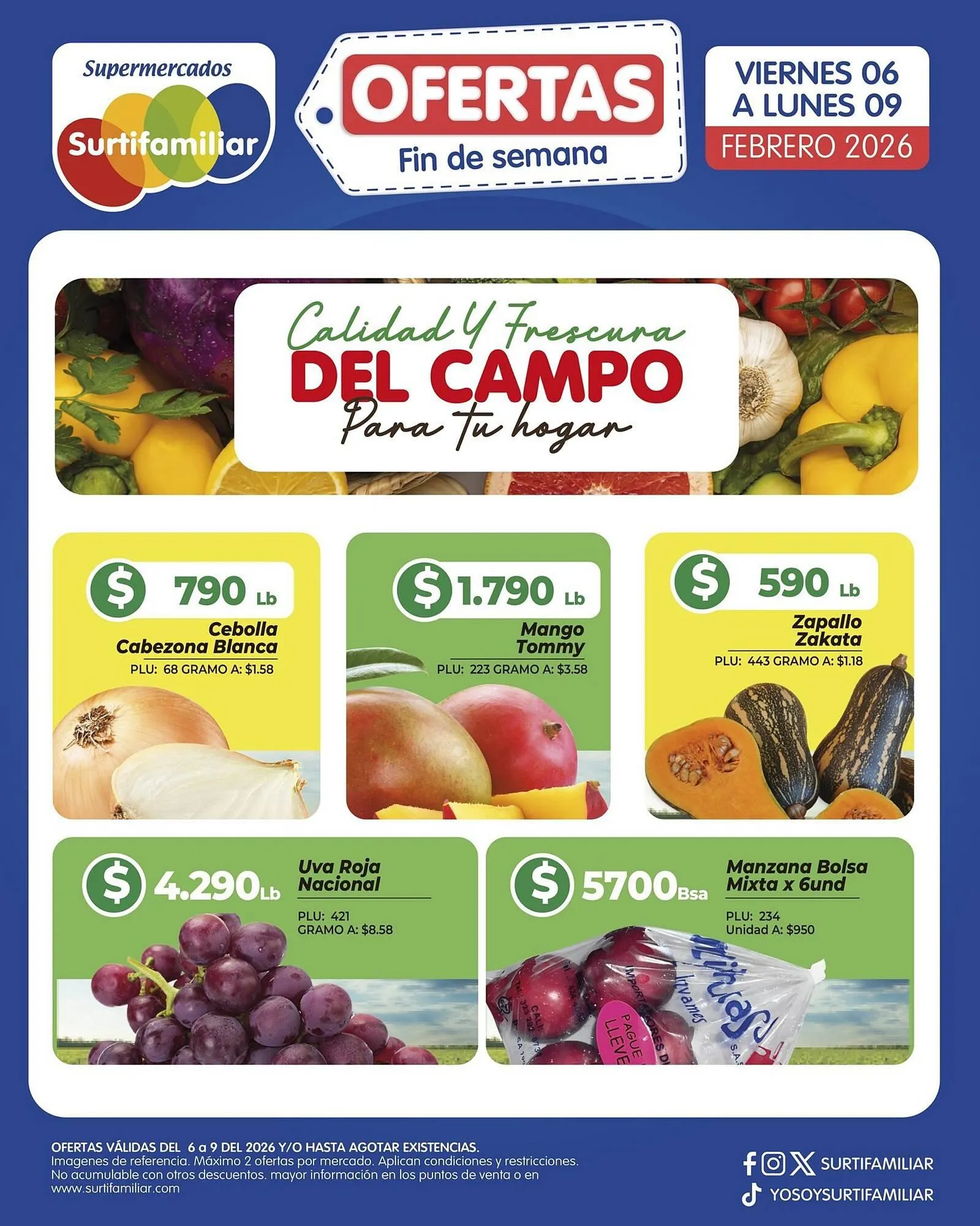 Catalogo de Catálogo Surtifamiliar 6 de febrero al 9 de febrero 2026 - Pag 4