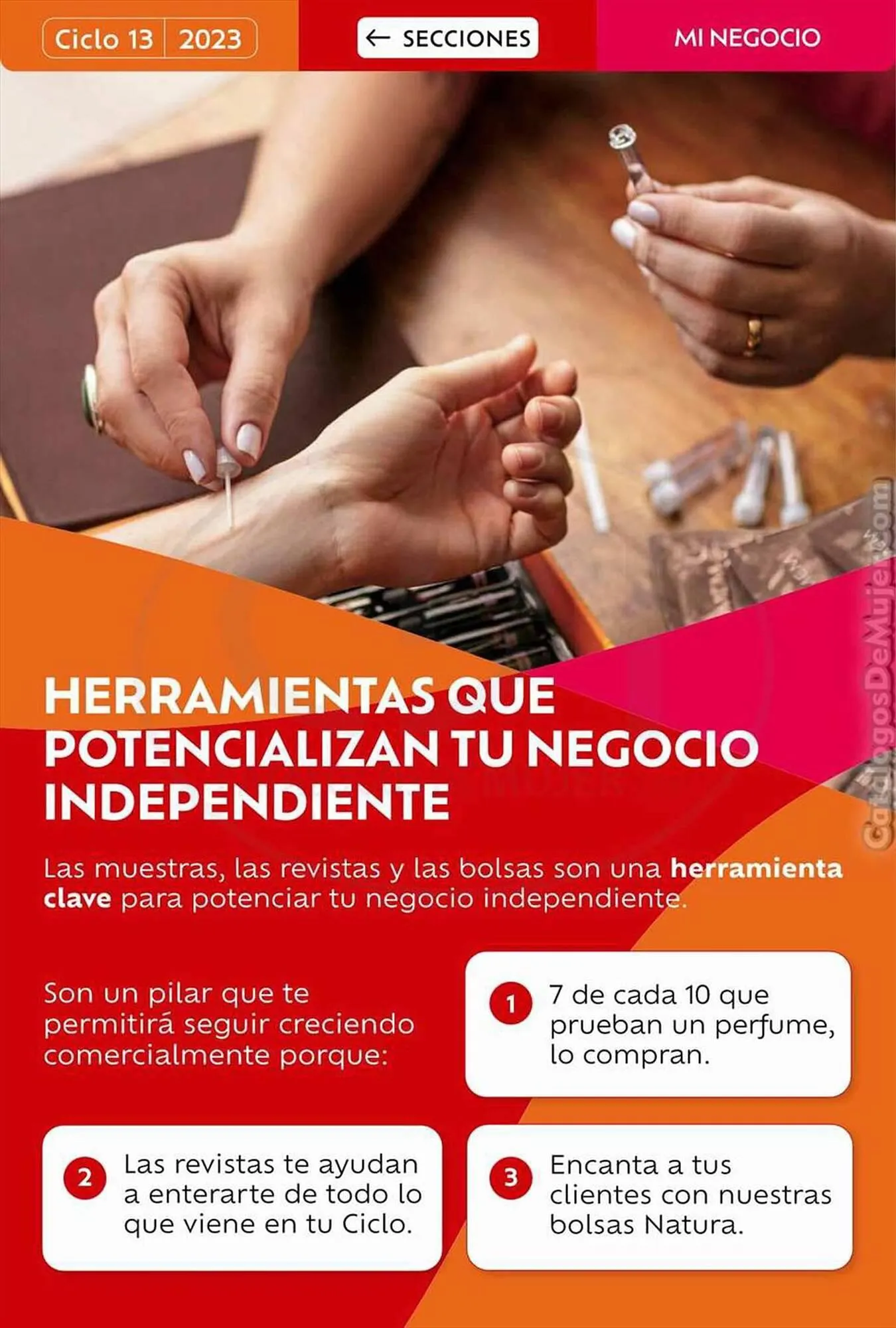 Catalogo de Catálogo Natura 31 de agosto al 15 de octubre 2023 - Pag 45