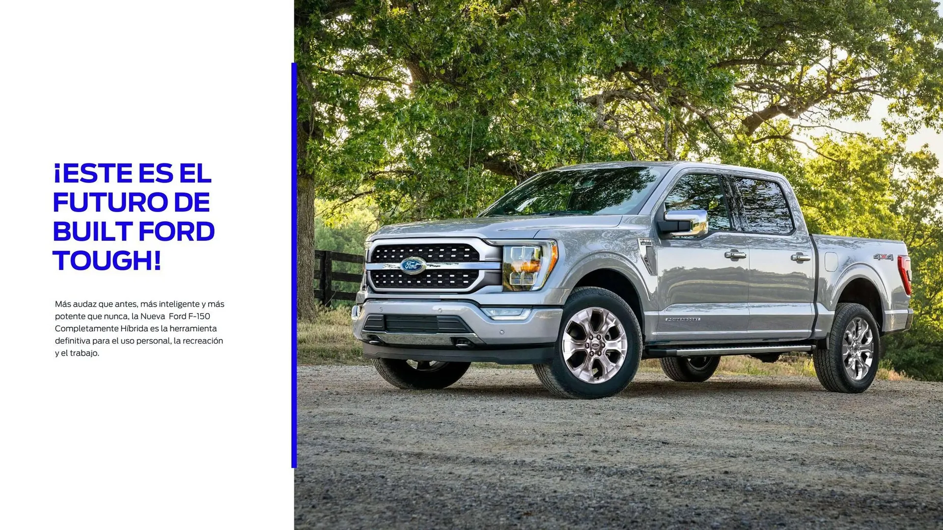 Catalogo de Catálogo Ford 29 de octubre al 29 de octubre 2025 - Pag 17