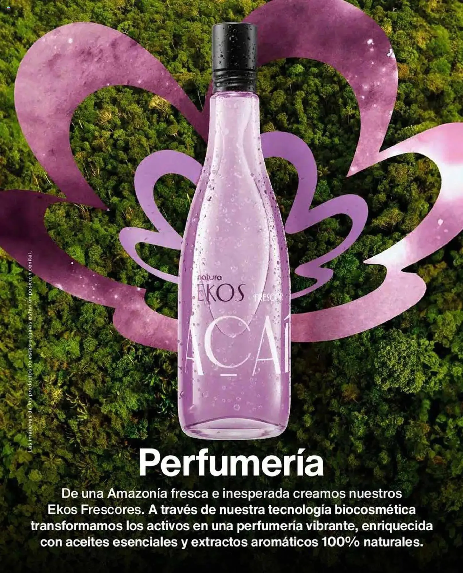 Catalogo de Catálogo Natura 12 de mayo al 15 de junio 2025 - Pag 33