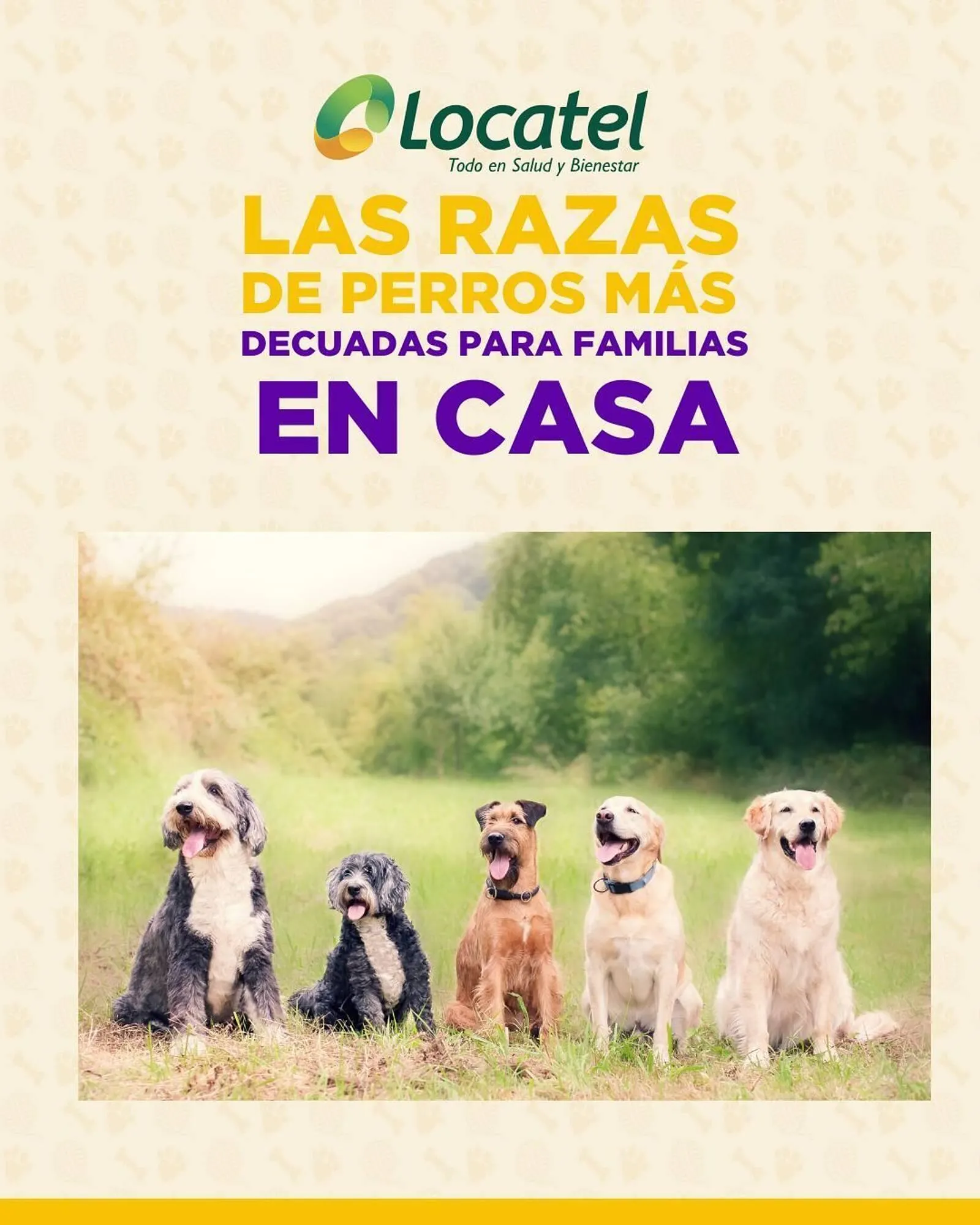 Catálogo Locatel - 1