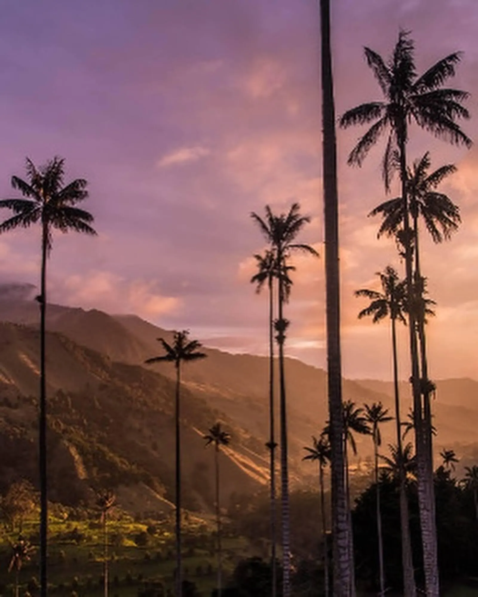 Catalogo de Catálogo HOSSH 28 de junio al 28 de junio 2025 - Pag 2