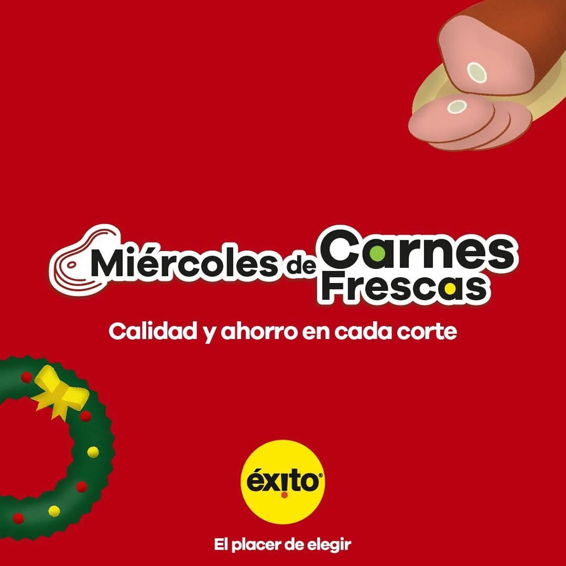 Catálogo Éxito - 1