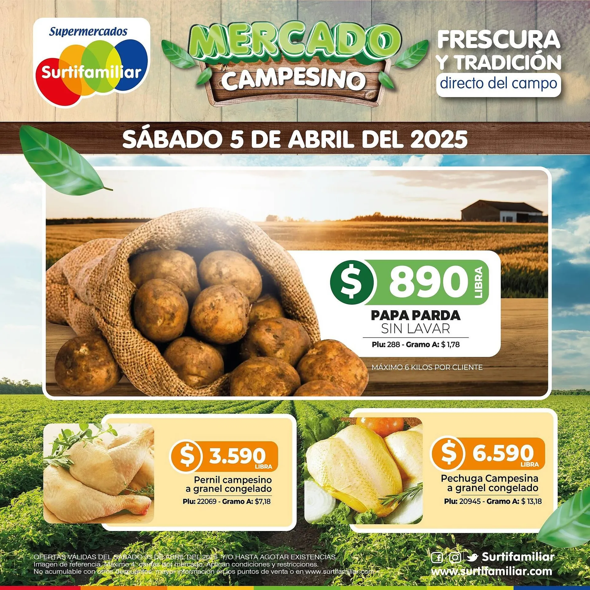 Catalogo de Catálogo Surtifamiliar 5 de abril al 5 de abril 2025 - Pag 3