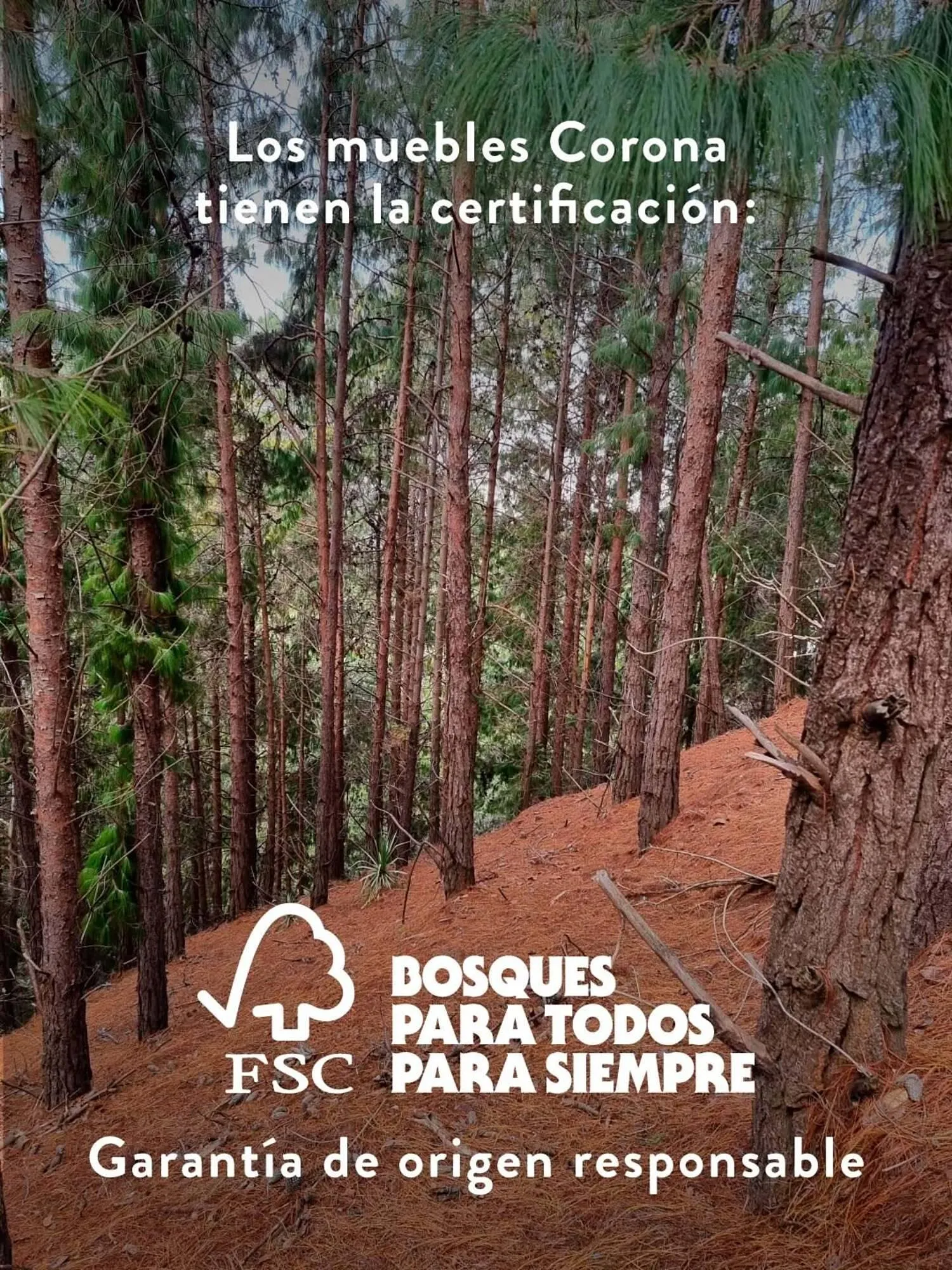 Catalogo de Catálogo Hipercentro Corona 2 de abril al 30 de abril 2026 - Pag 2