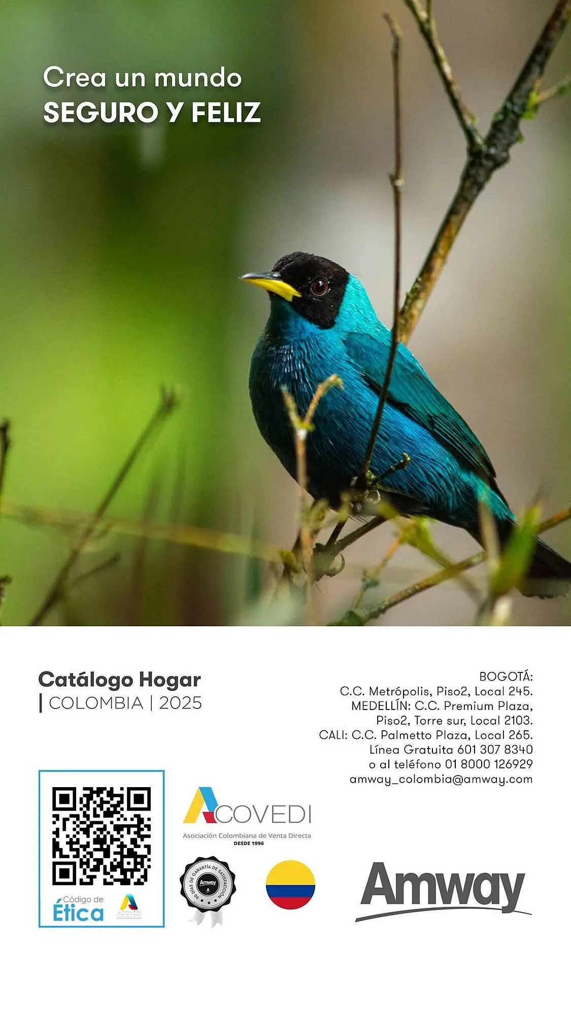 Catalogo de Catálogo Amway 6 de febrero al 31 de marzo 2025 - Pag 19