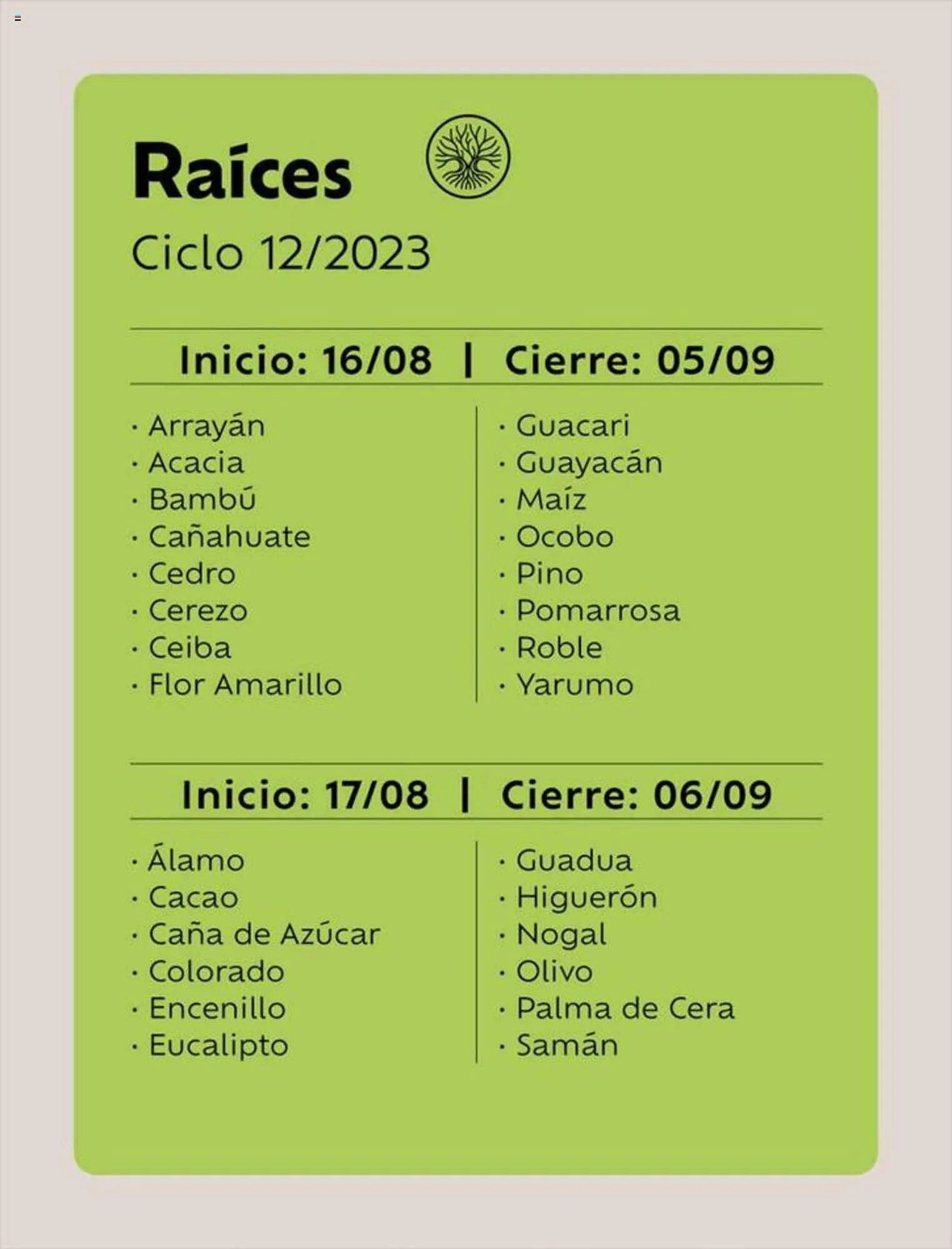 Catalogo de Catálogo Natura 22 de julio al 15 de agosto 2023 - Pag 13