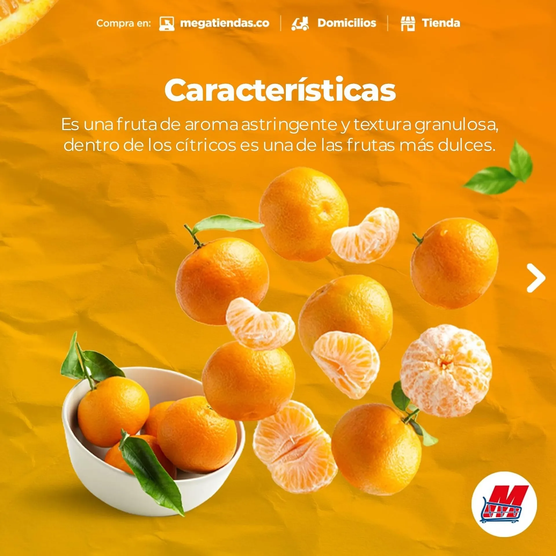 Catalogo de Catálogo MegaTiendas 5 de agosto al 9 de agosto 2024 - Pag 2