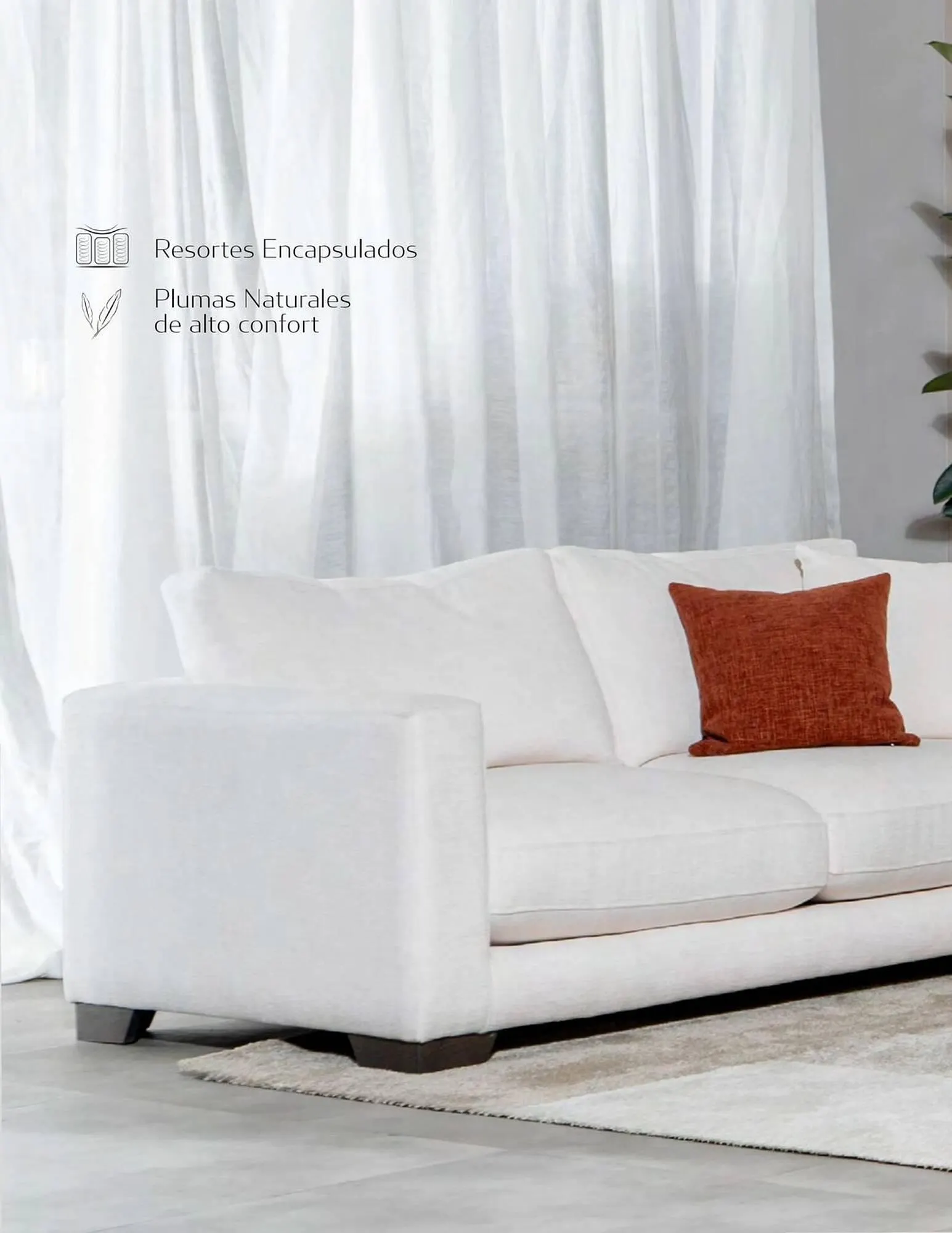 Catalogo de Catálogo Aristas 9 de febrero al 31 de diciembre 2024 - Pag 52