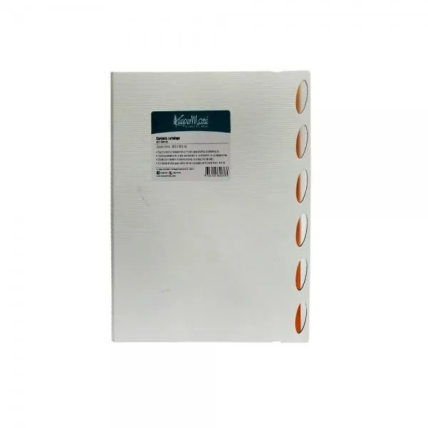 Carpeta Carta X6 Bolsillos