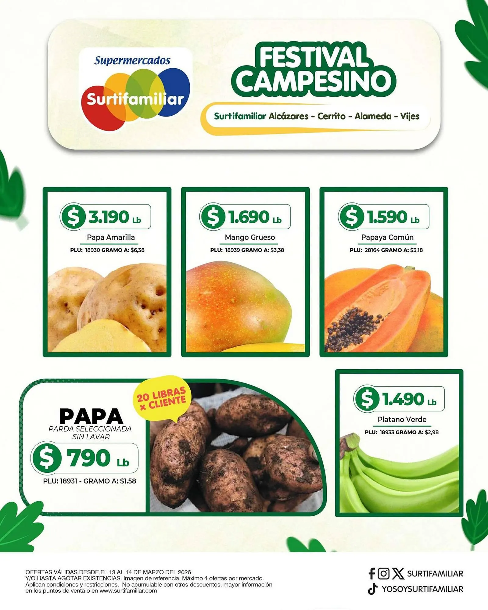 Catálogo Surtifamiliar - 1