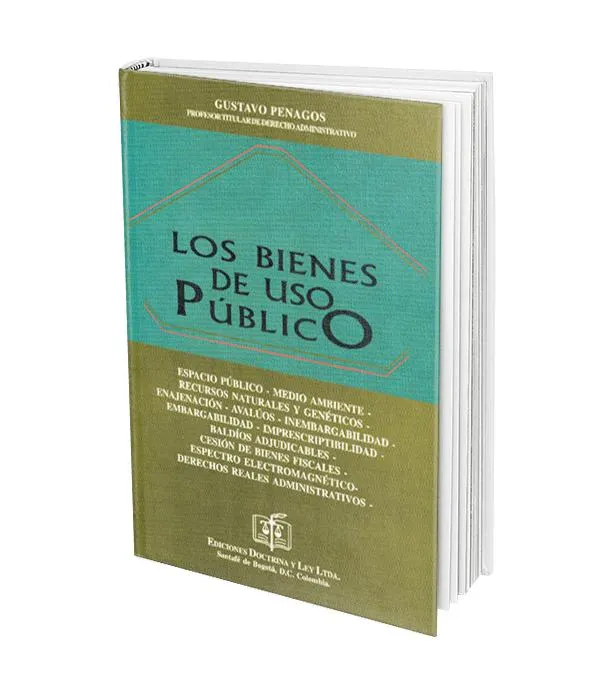 Los Bienes de Uso Público