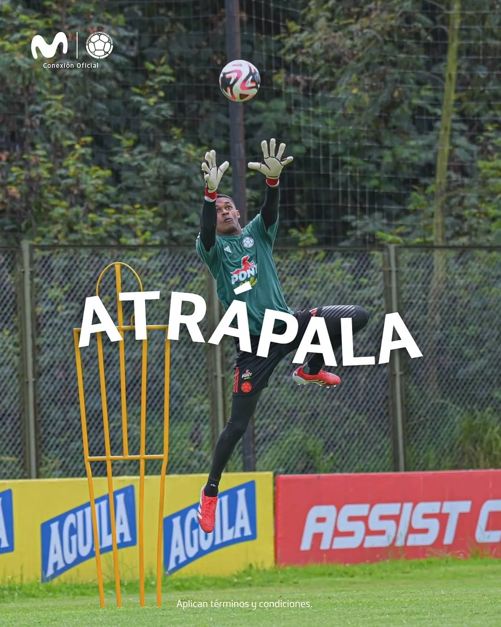 Catálogo Movistar - 1