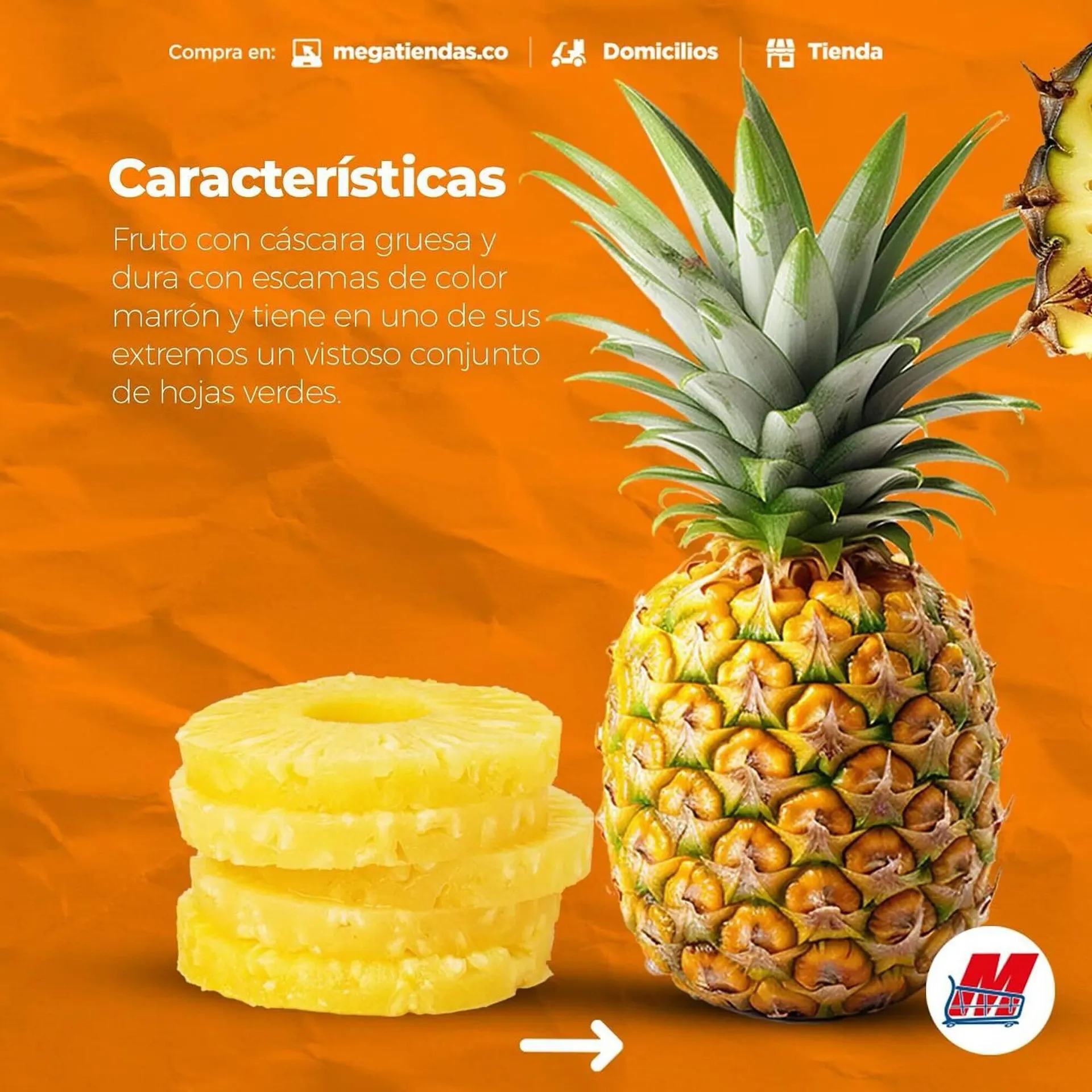 Catalogo de Catálogo MegaTiendas 14 de febrero al 20 de febrero 2025 - Pag 2