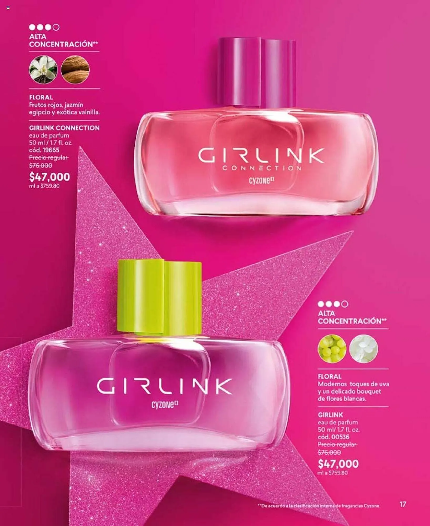 Catalogo de Catálogo Cyzone 1 de noviembre al 30 de noviembre 2024 - Pag 17