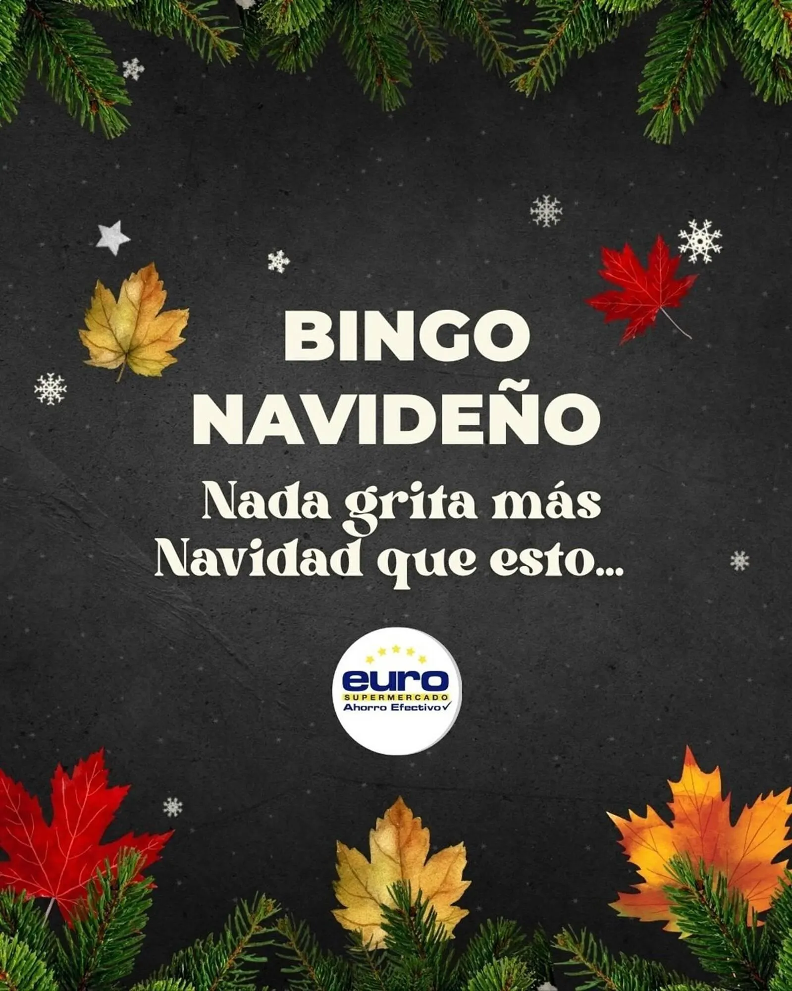 Catalogo de Catálogo Euro Supermercados 26 de noviembre al 31 de diciembre 2025 - Pag 4