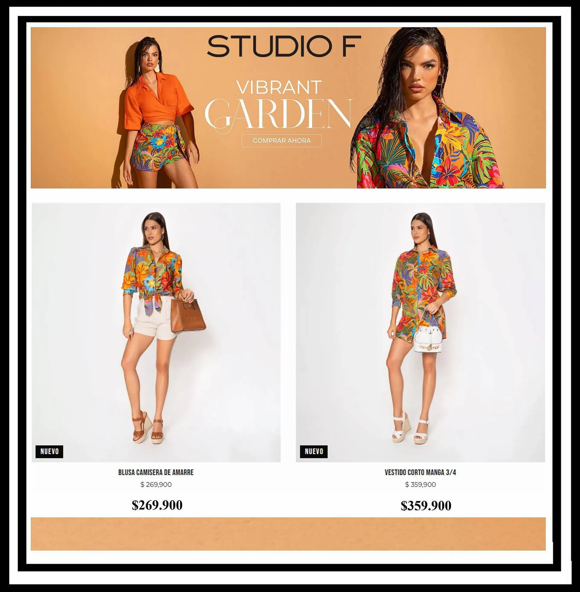 Catalogo de Catálogo Studio F 31 de agosto al 10 de octubre 2023 - Pag 2