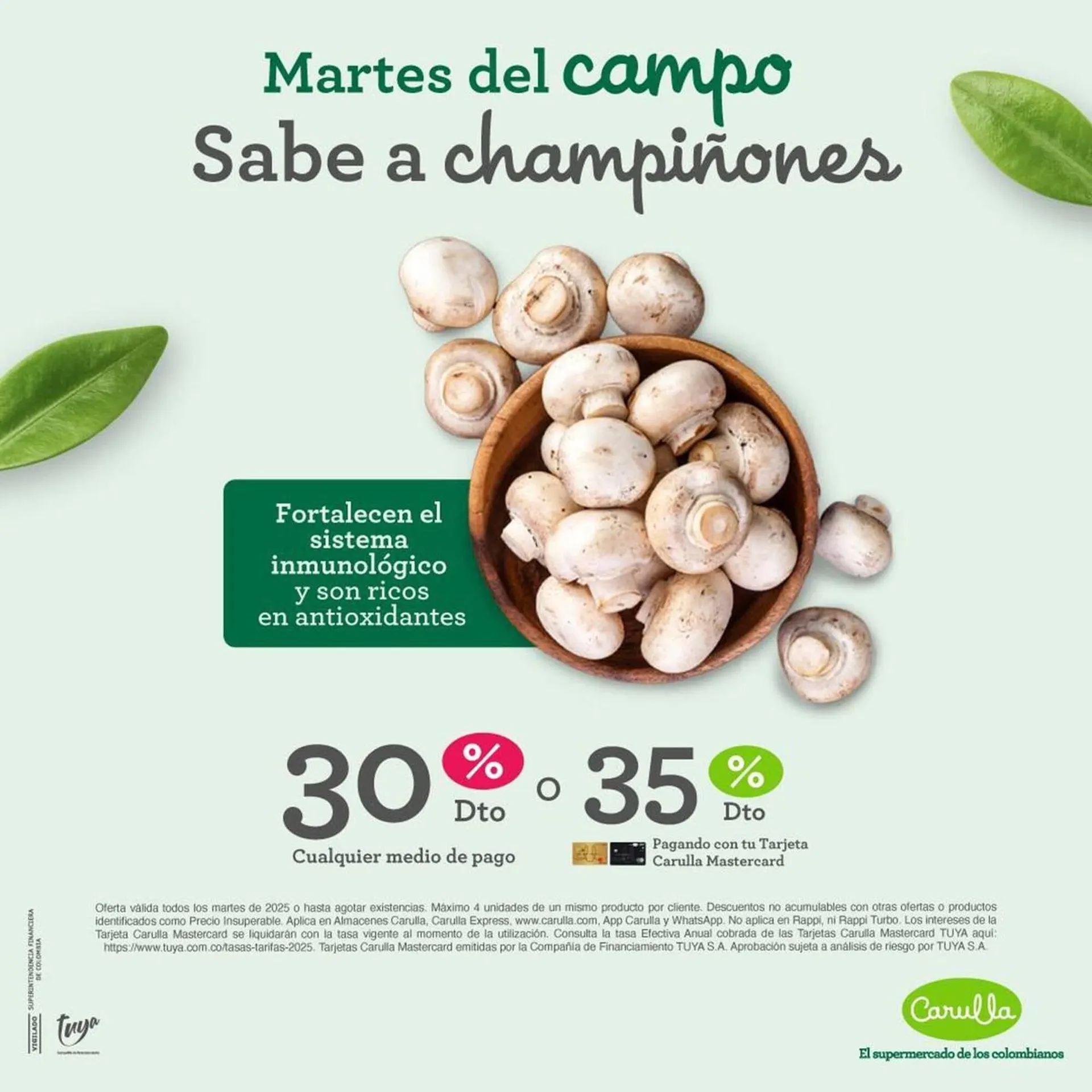 Catálogo Carulla - 1