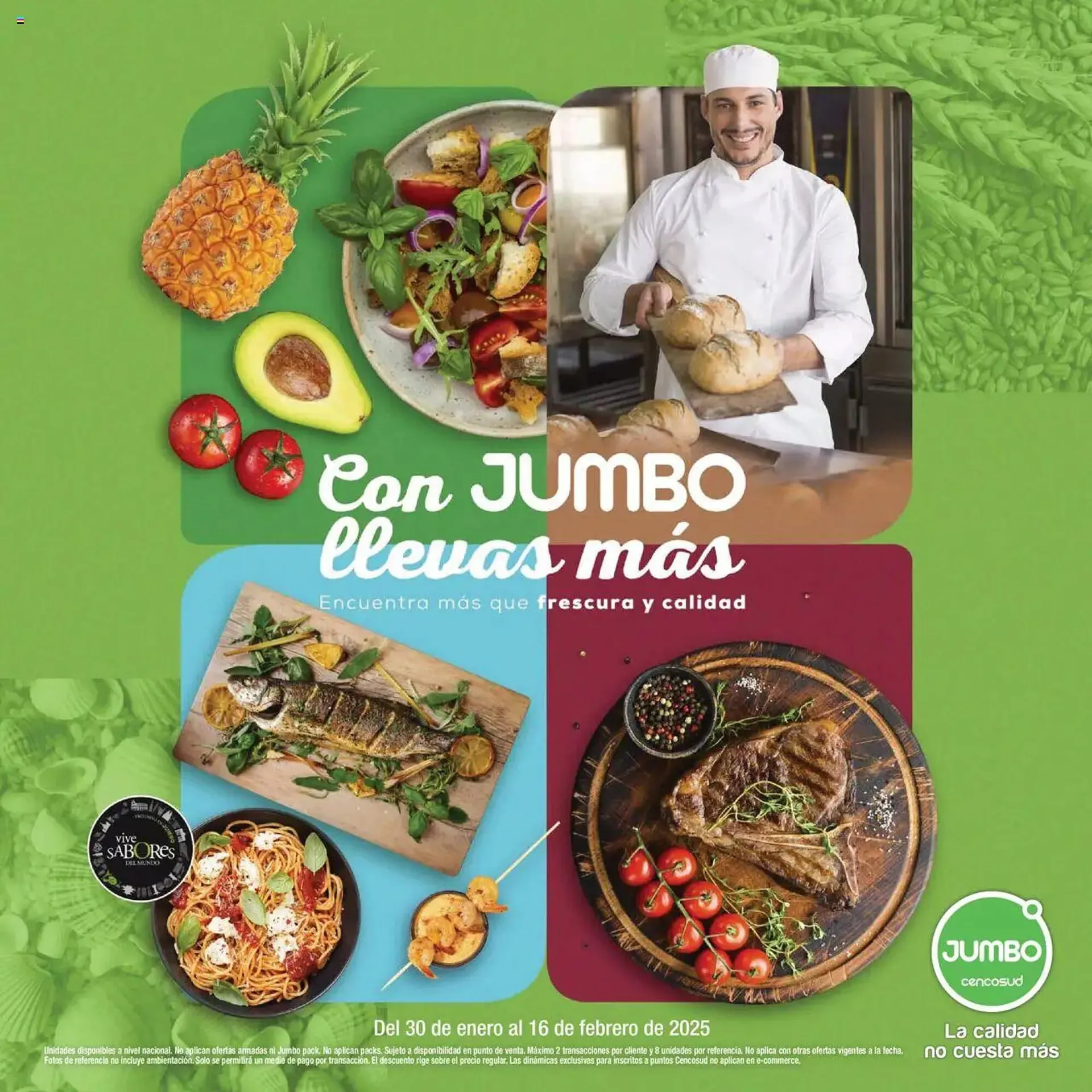 Catalogo de Catálogo Jumbo 30 de enero al 16 de febrero 2025 - Pag 12