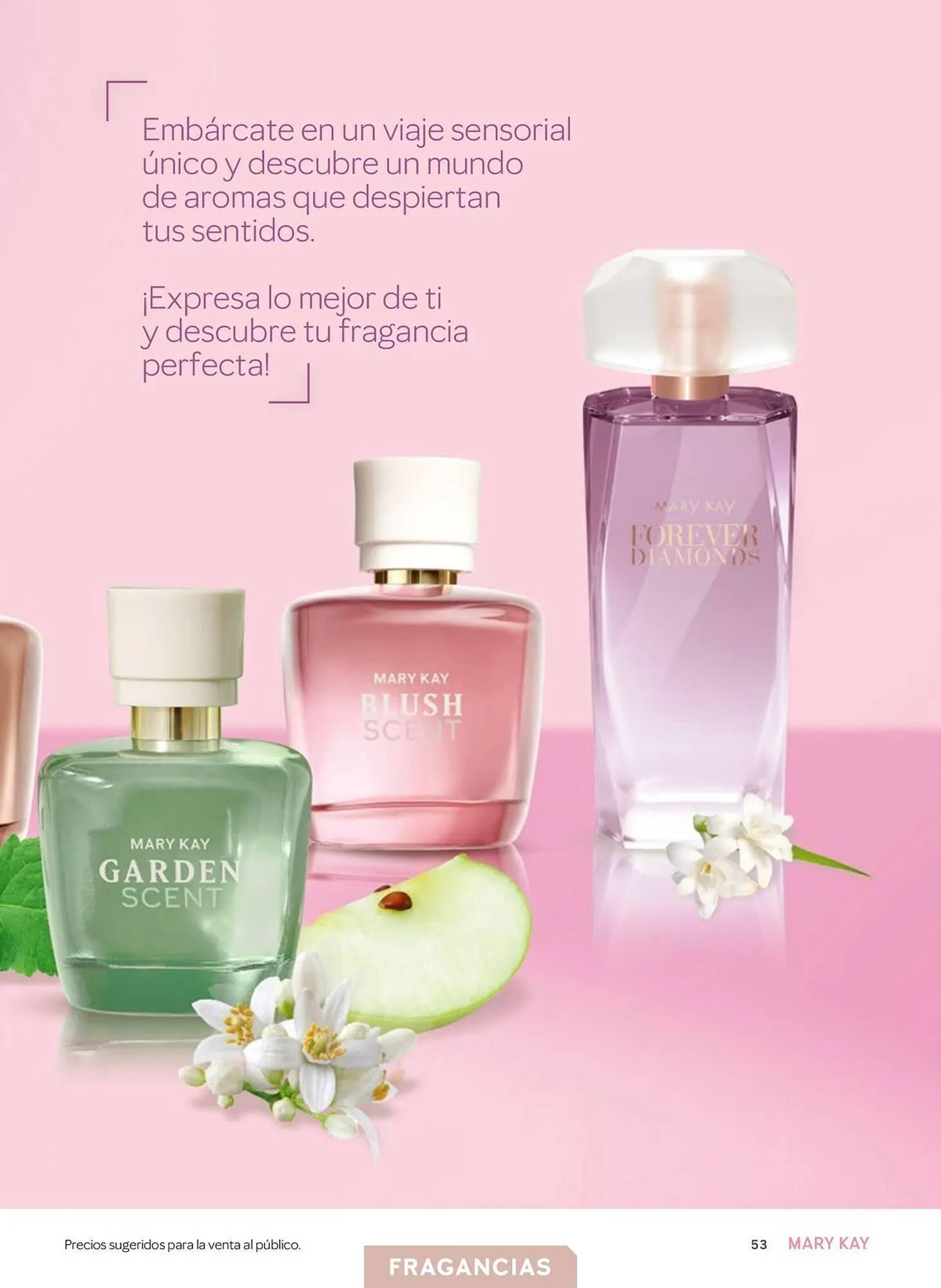 Catalogo de Catálogo Mary Kay 25 de marzo al 30 de abril 2025 - Pag 53