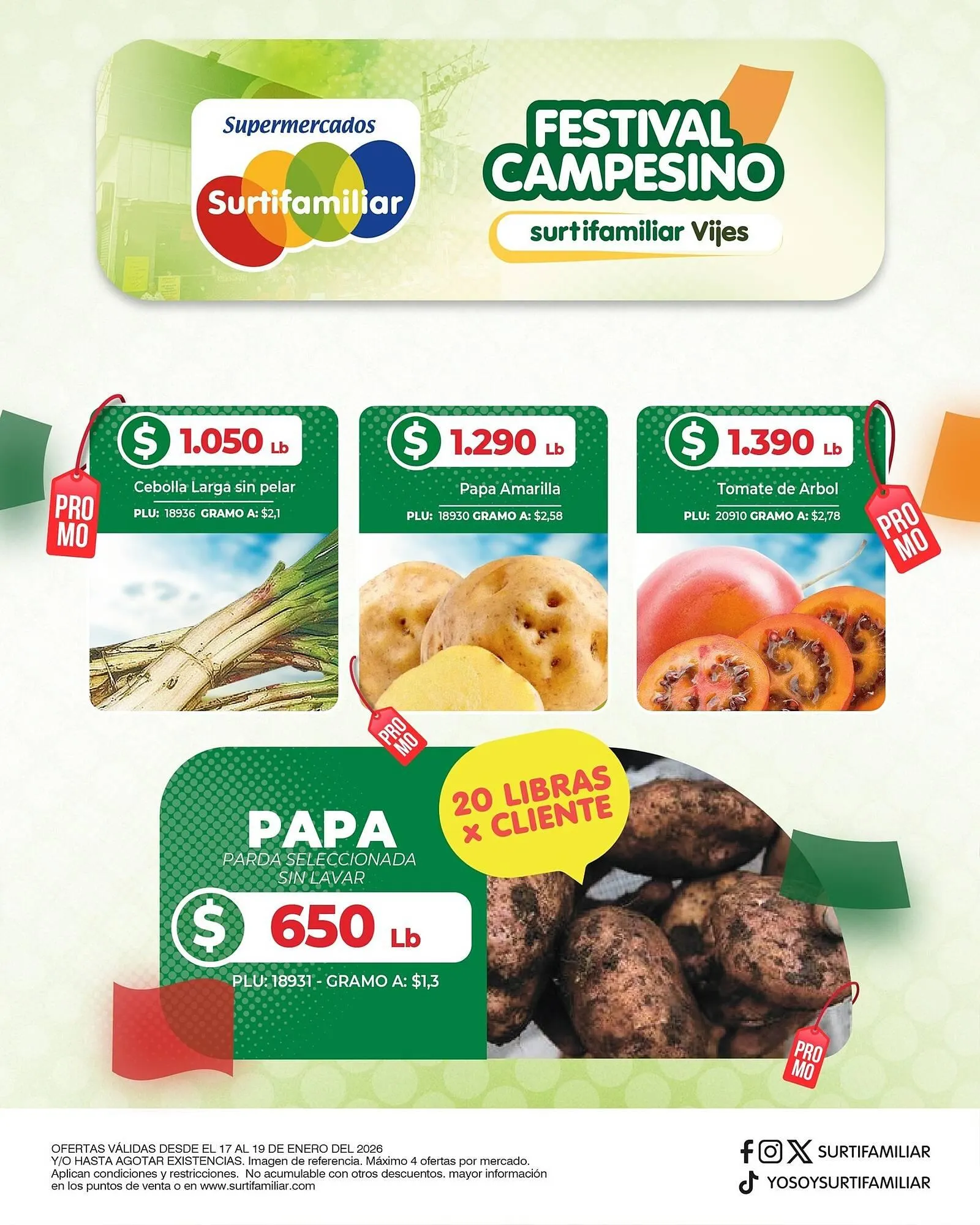 Catalogo de Catálogo Surtifamiliar 17 de enero al 19 de enero 2026 - Pag 3