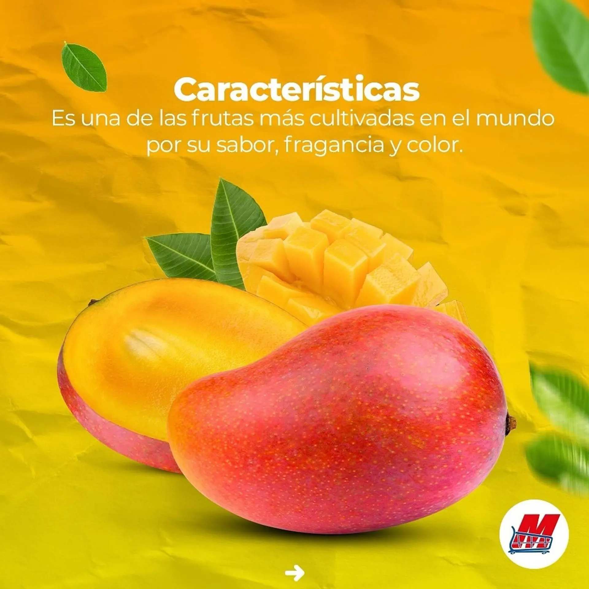 Catalogo de Catálogo MegaTiendas 12 de diciembre al 13 de diciembre 2024 - Pag 2