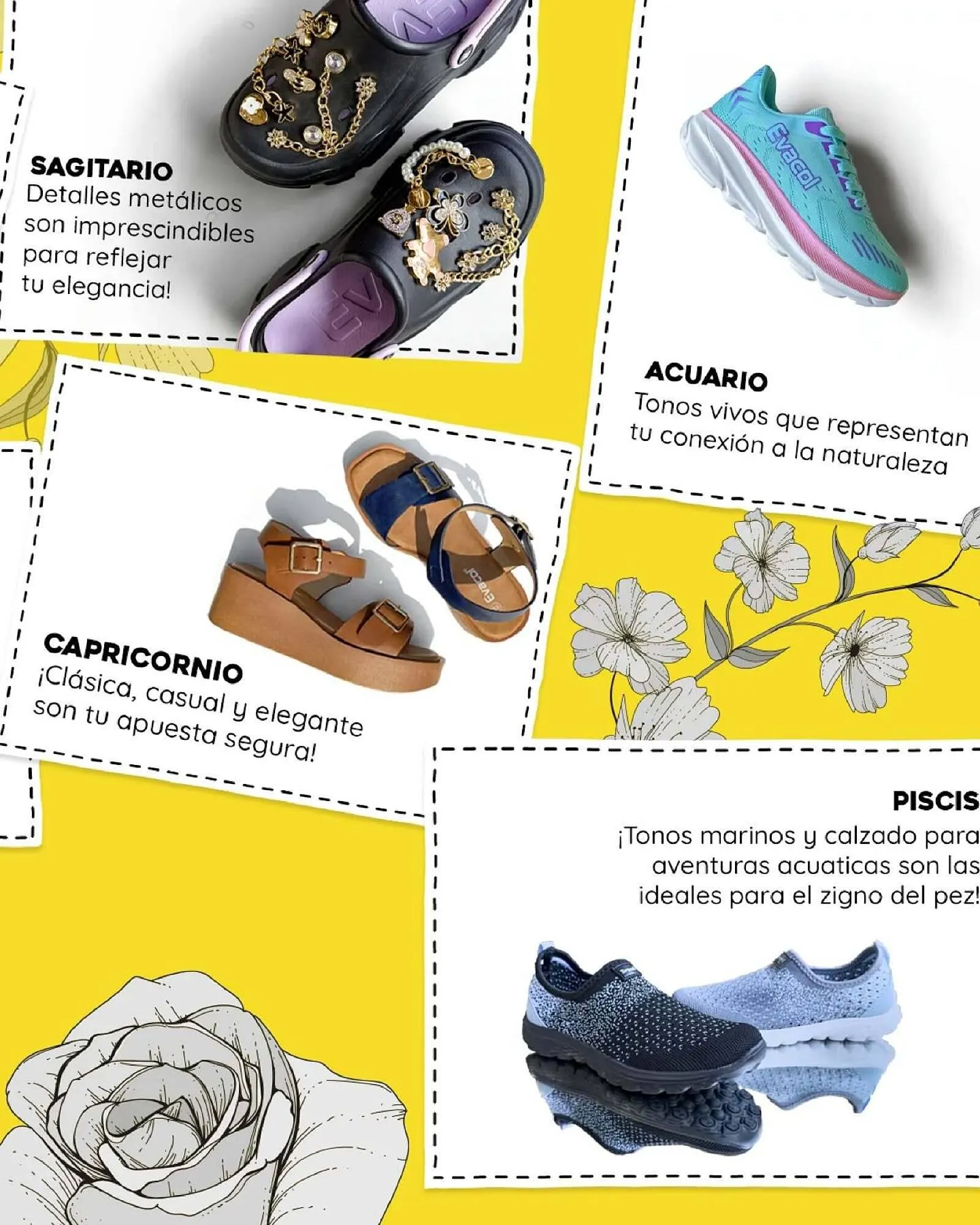 Catalogo de Catálogo Evacol 30 de mayo al 10 de junio 2025 - Pag 4