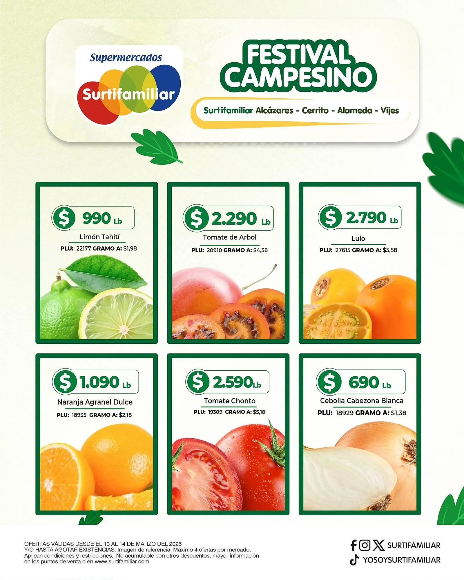 Catalogo de Catálogo Surtifamiliar 13 de marzo al 14 de marzo 2026 - Pag 3