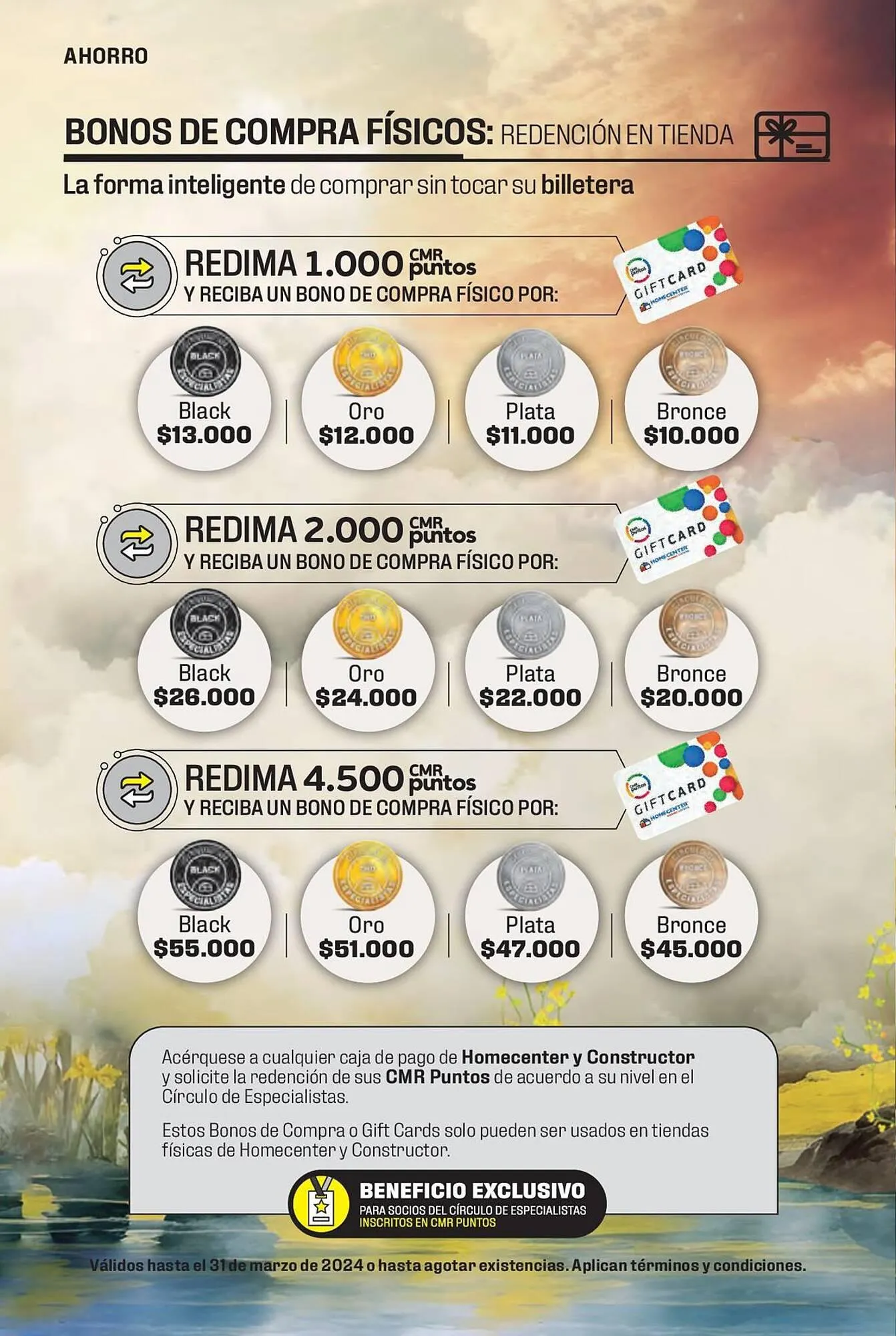 Catalogo de Catálogo Constructor 15 de enero al 31 de marzo 2024 - Pag 4
