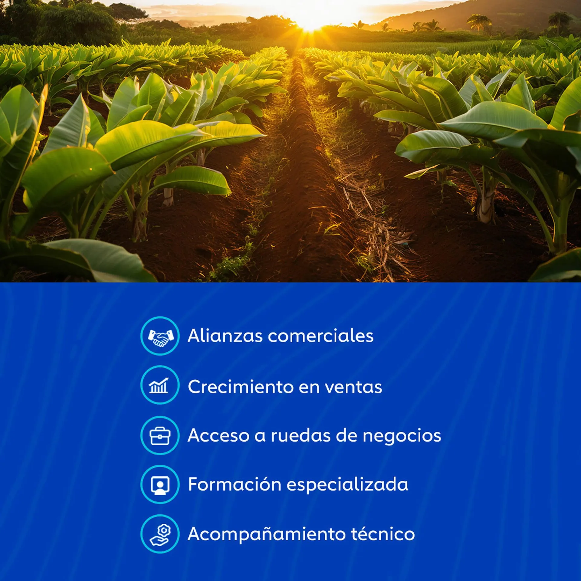 Catalogo de Catálogo Comfandi 10 de noviembre al 15 de noviembre 2025 - Pag 2